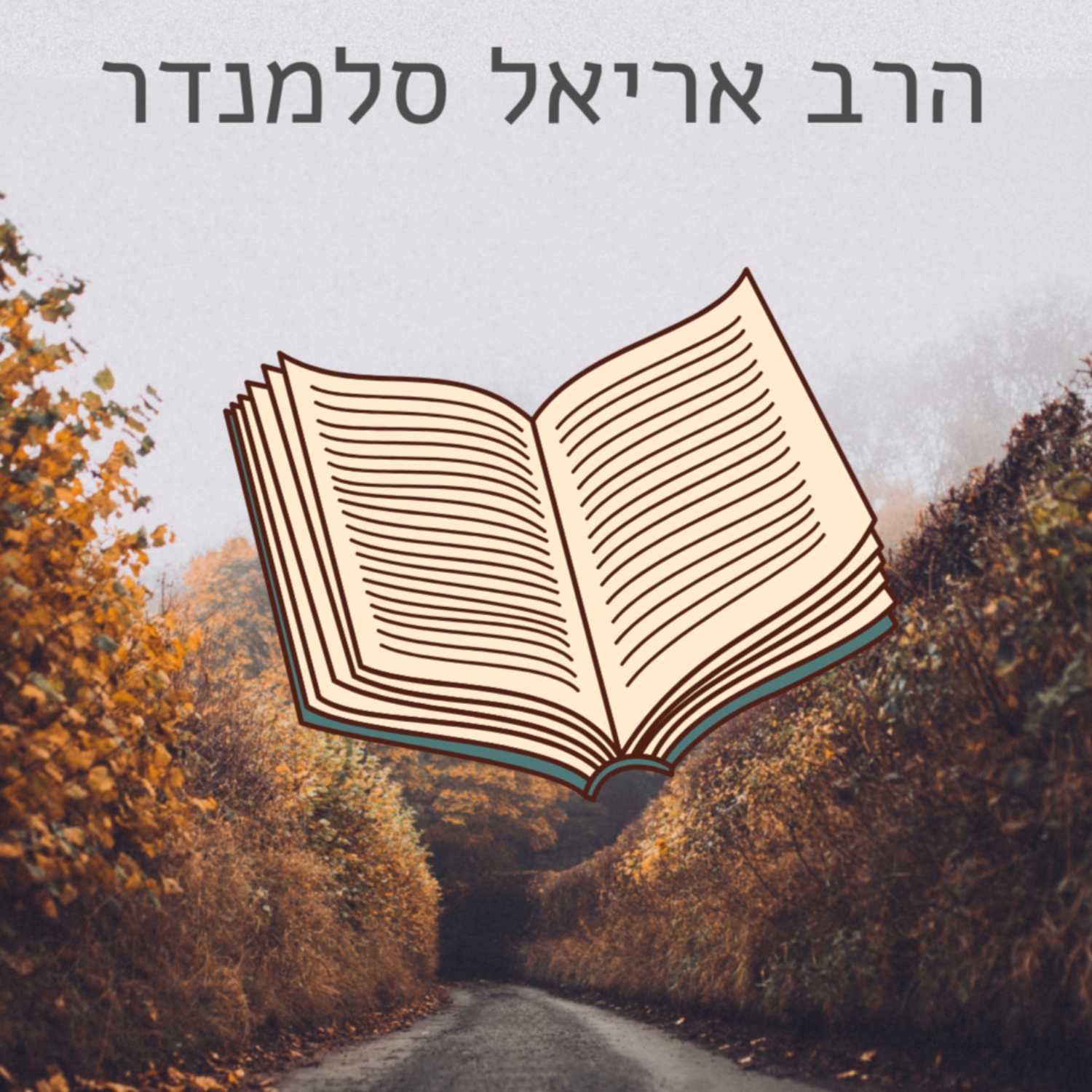 תיקון חטא הארץ | אורות התשובה - הרב אריאל סלמנדר | ישיבת א"ש קודש episode artwork