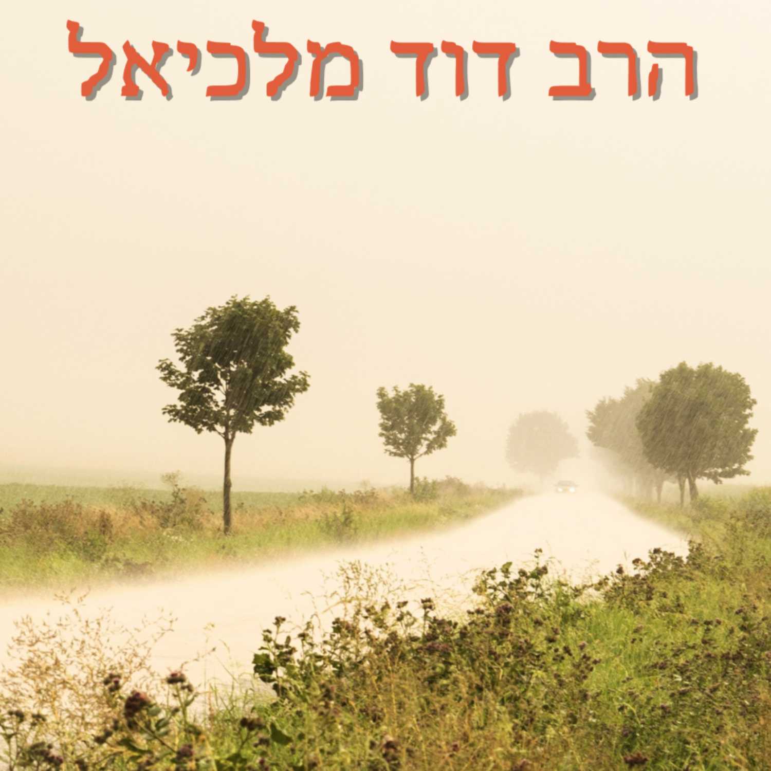 השינה בתור תשובה | אלול- הרב דוד מלכיאל | ישיבת א"ש קודש episode artwork