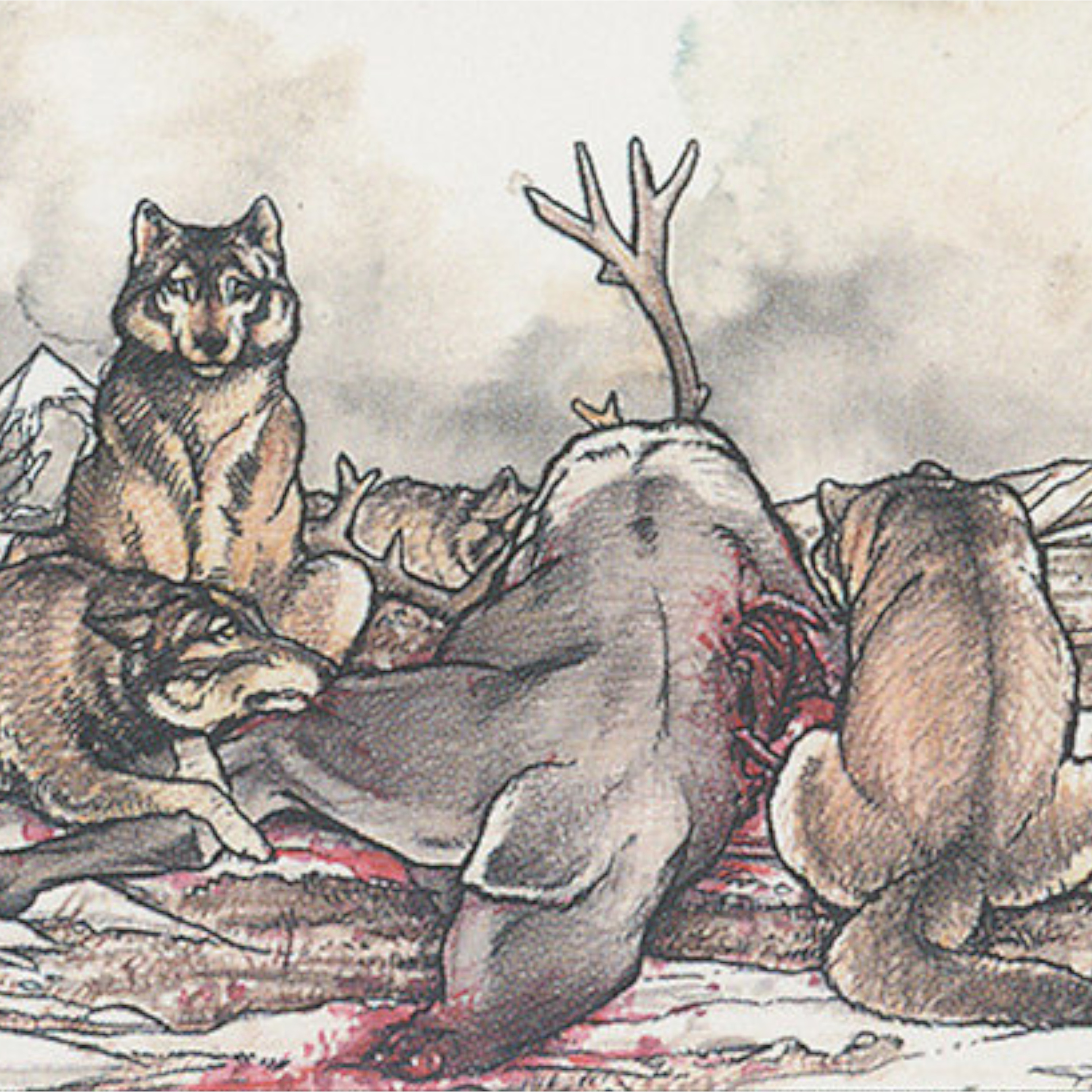 Episode 4.20: Wolves of Winter