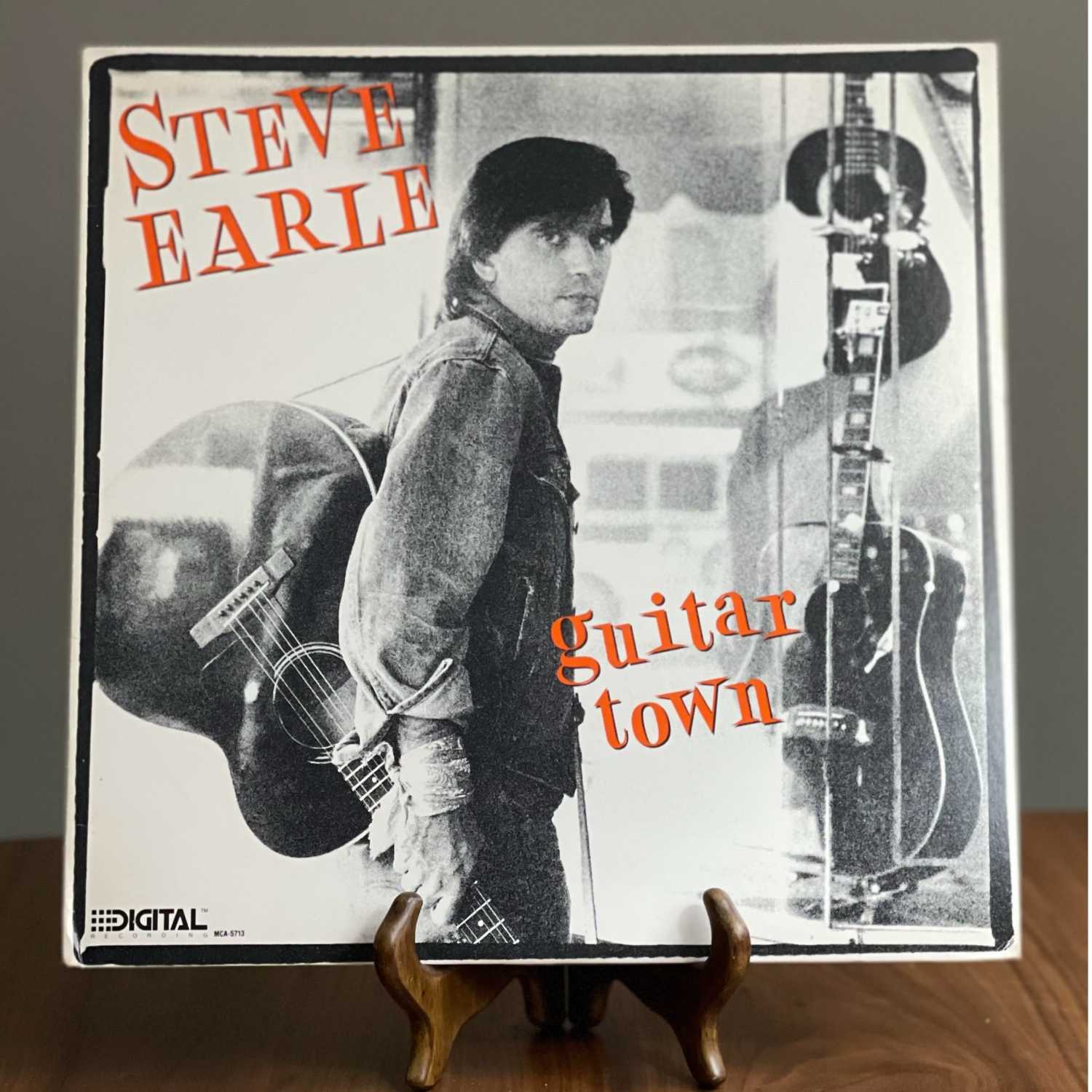 Hardcore Troubadour