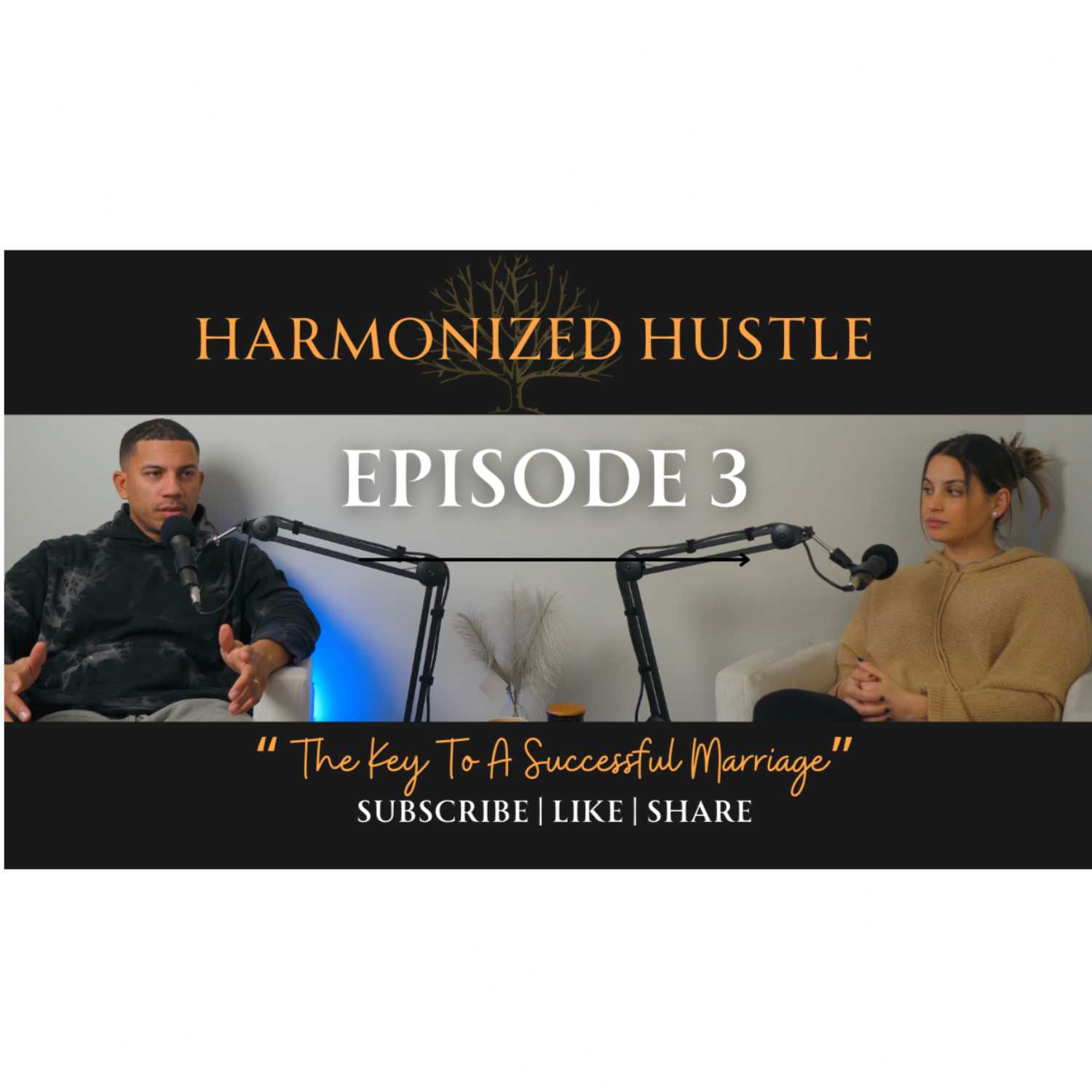 Episode 3: The Key to a Successful Marriage episode artwork