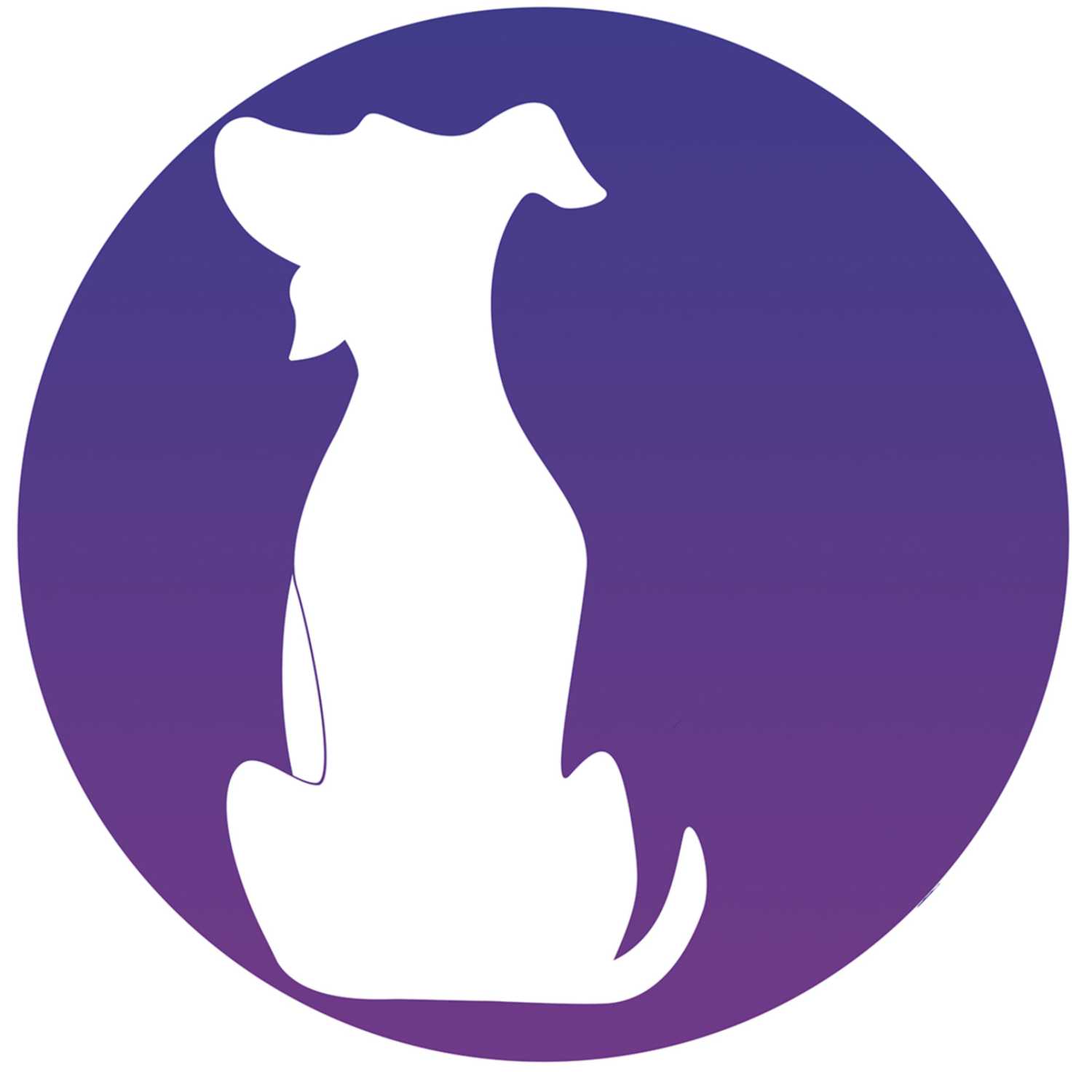 SELECT*: Your Resource for Innovative Tech & Developer Topics Hosted by HarperDB