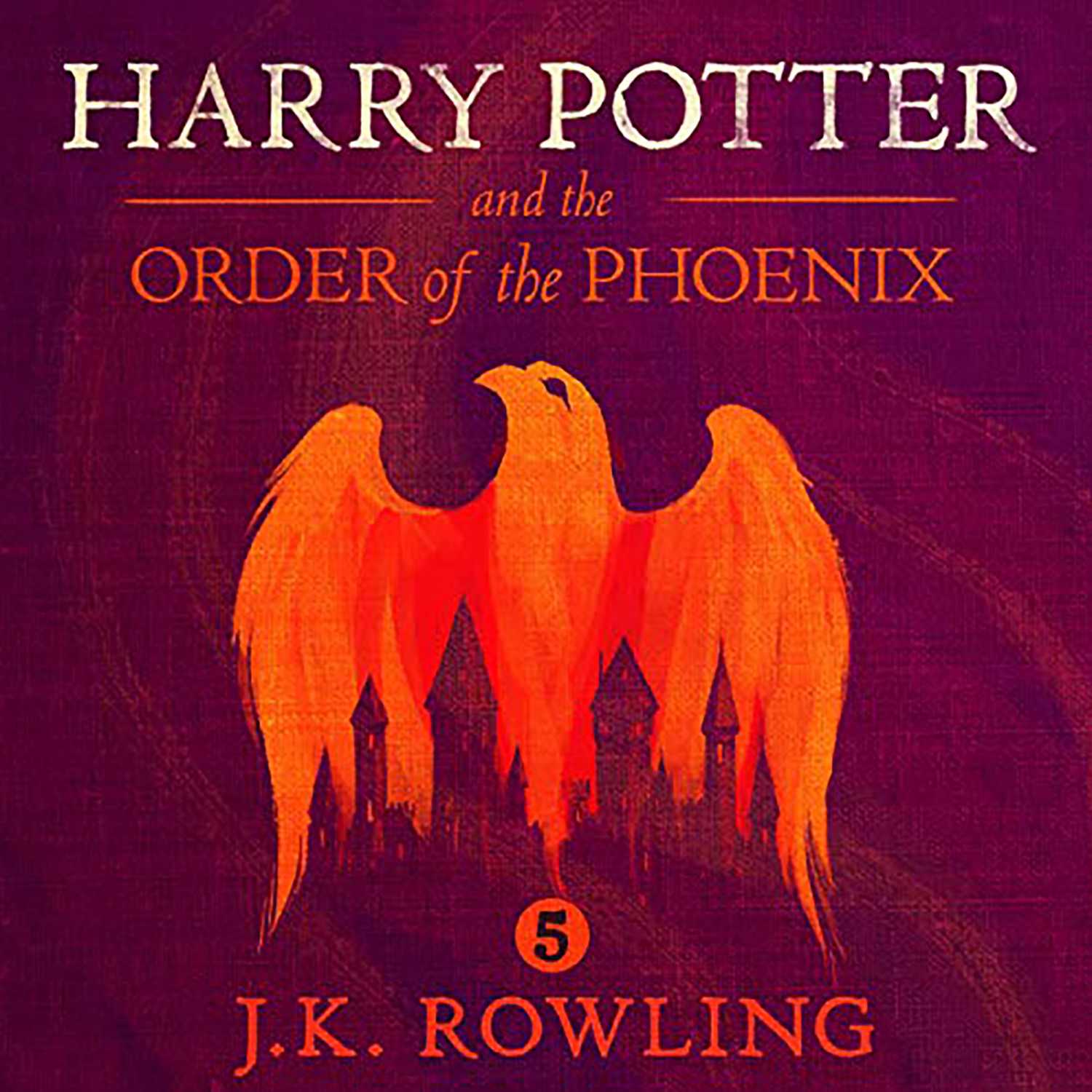 Harry Potter and the Order of the Phoenix Part 1