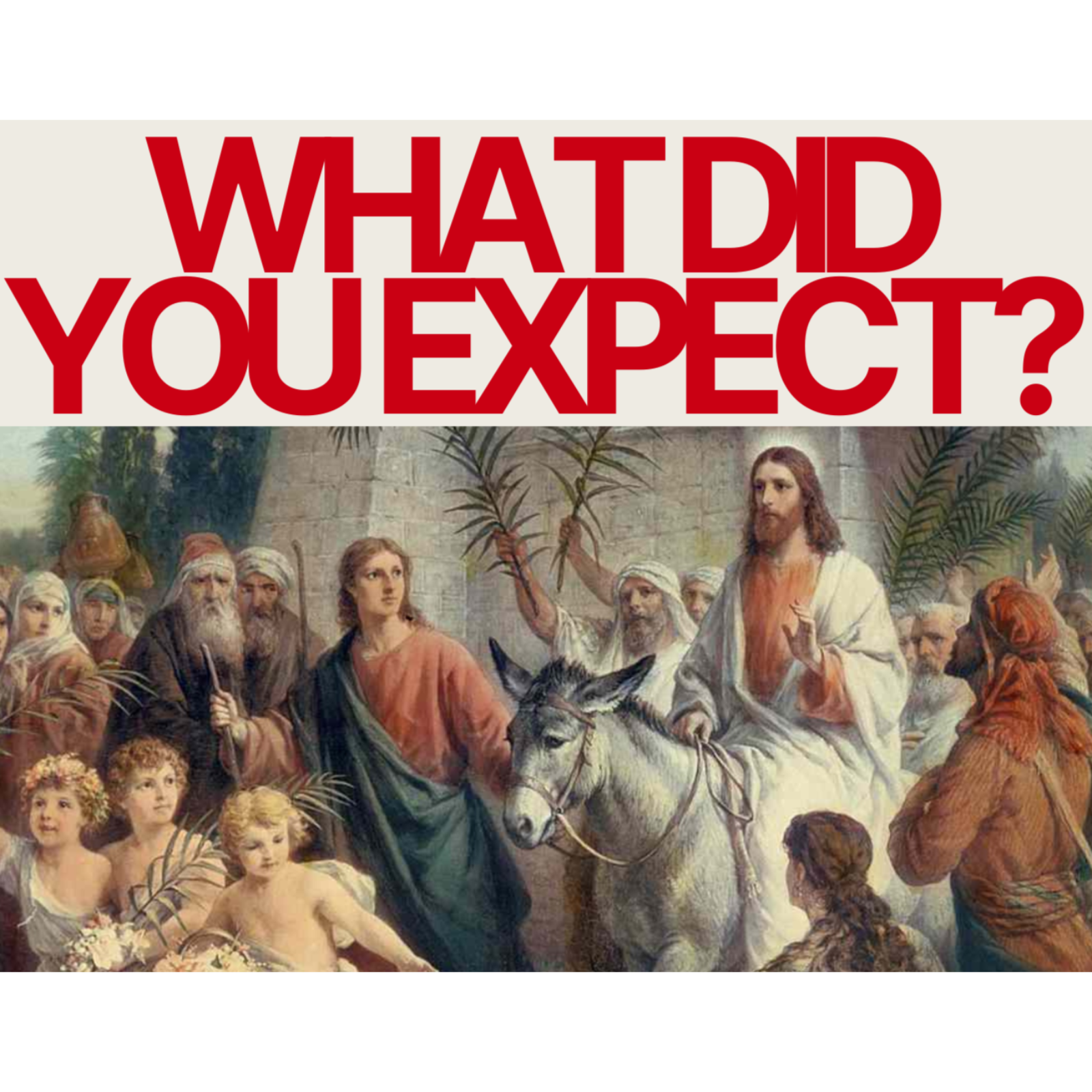 What Did You Expect? - Palm Sunday episode artwork