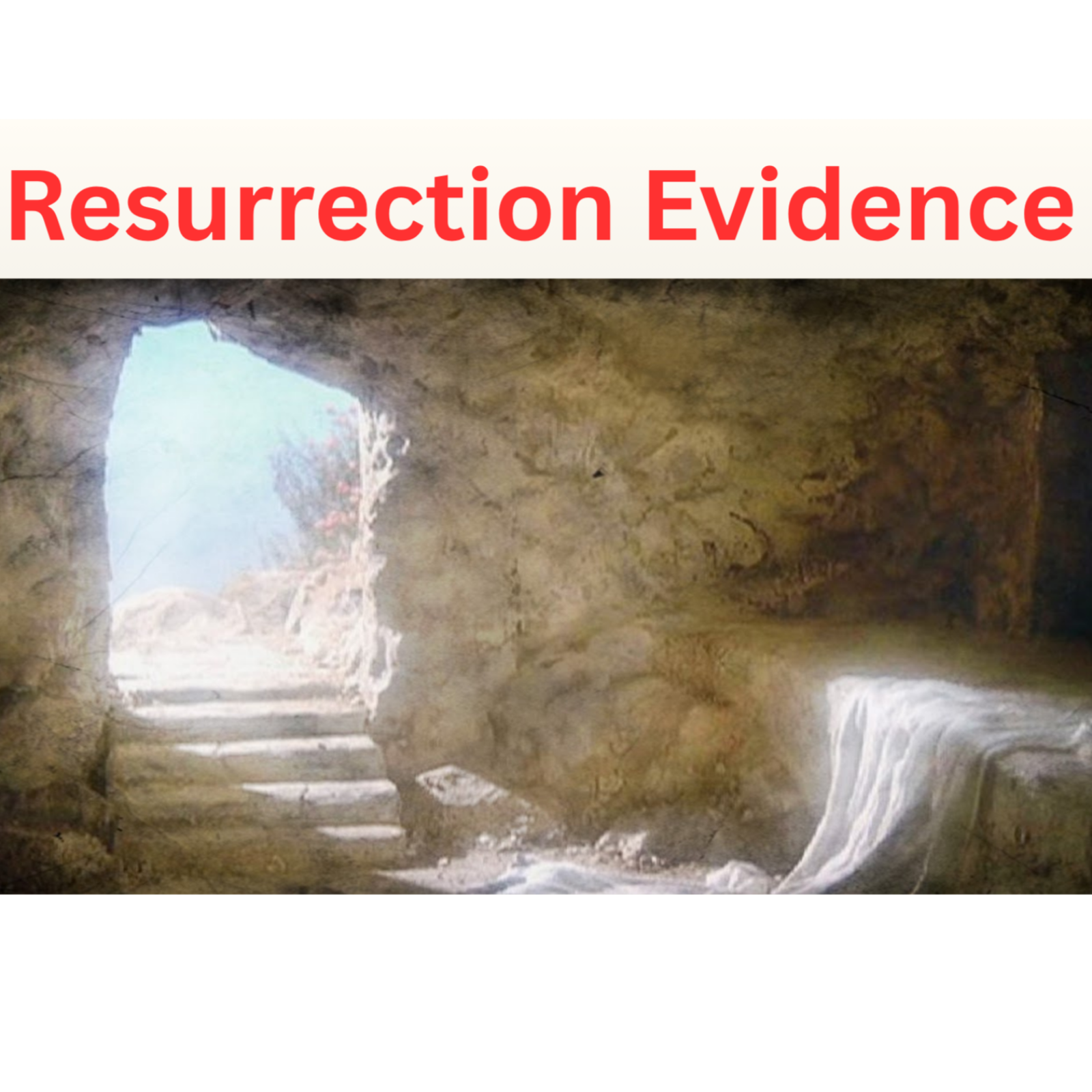Resurrection Evidence episode artwork