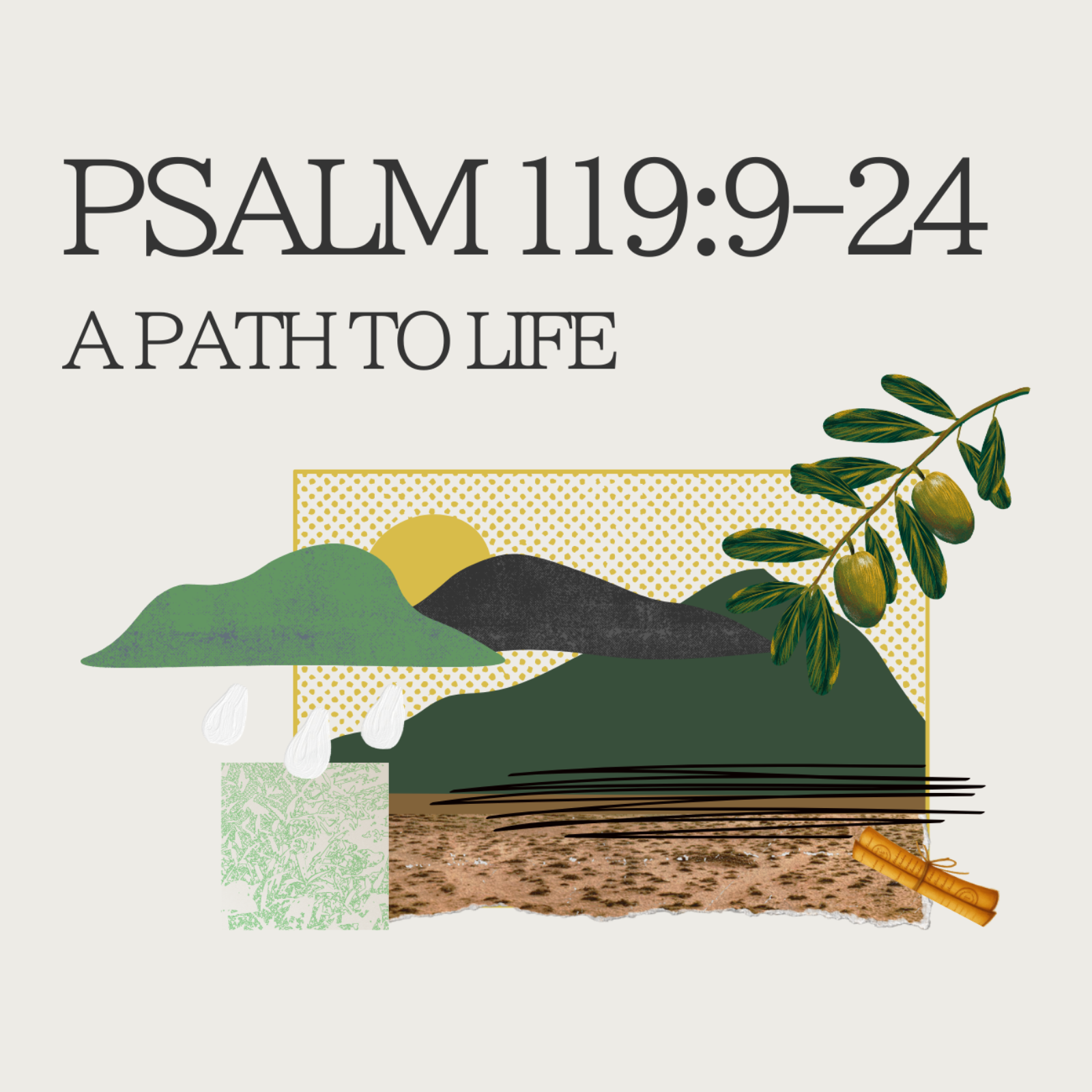 A Path to Life - Psalm 119:9-24 episode artwork