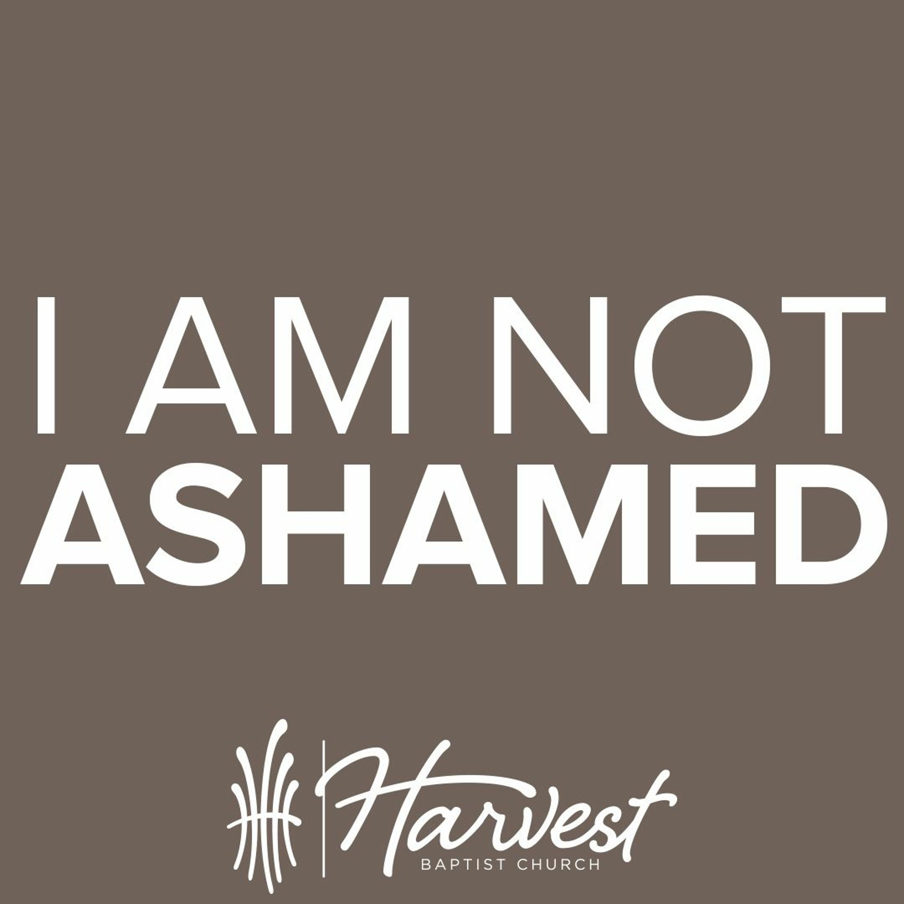 I Am Not Ashamed episode artwork