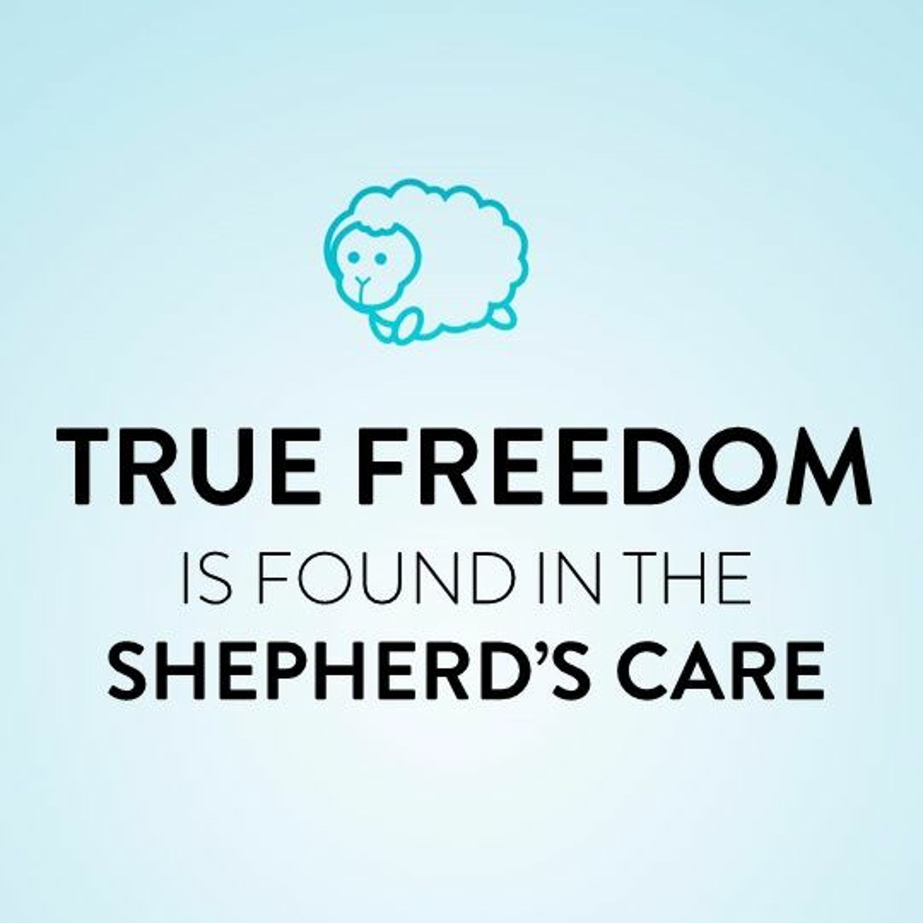 True Freedom is Found in the Shepherd's Care episode artwork