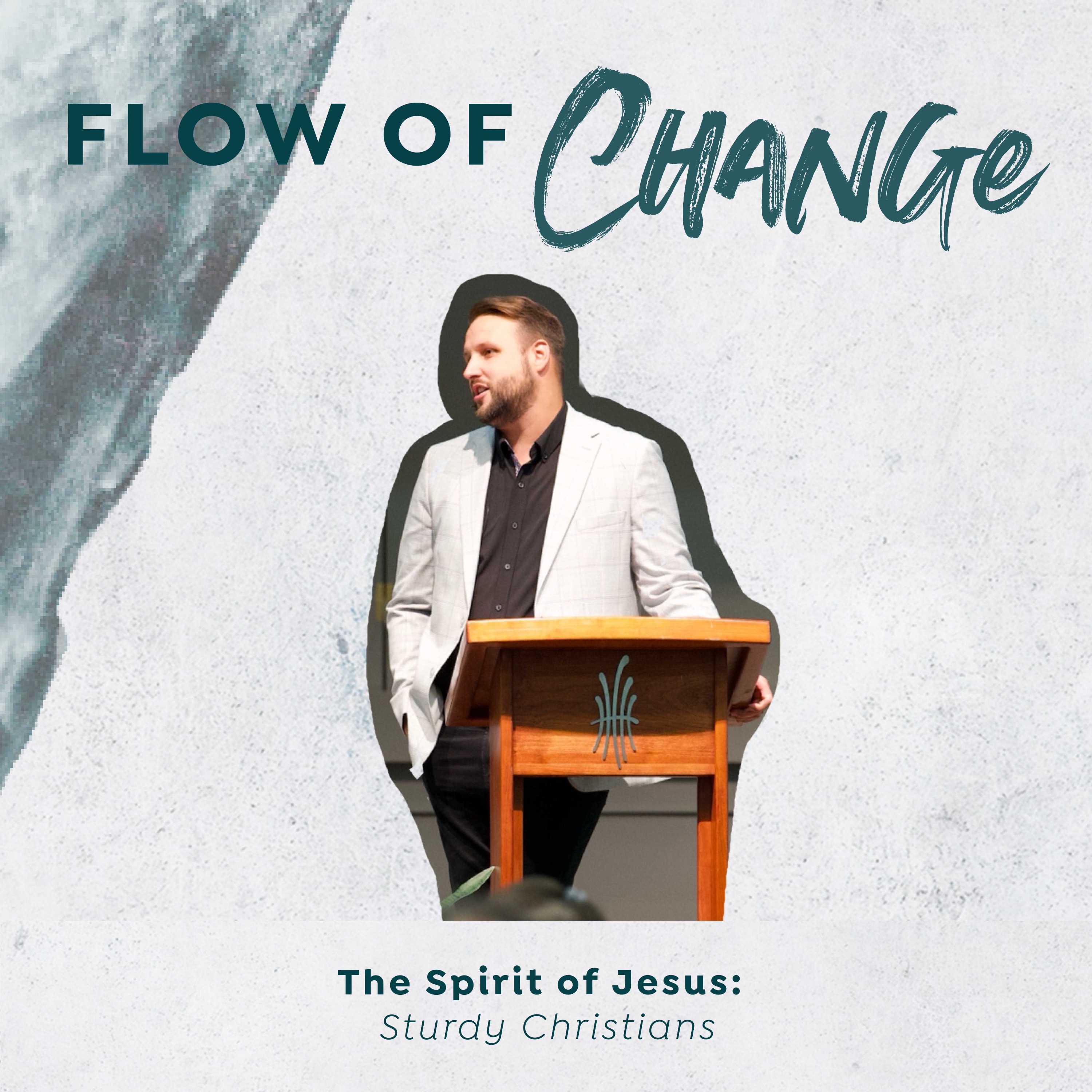The Spirit of Jesus: Sturdy Christians | Flow of Change episode artwork