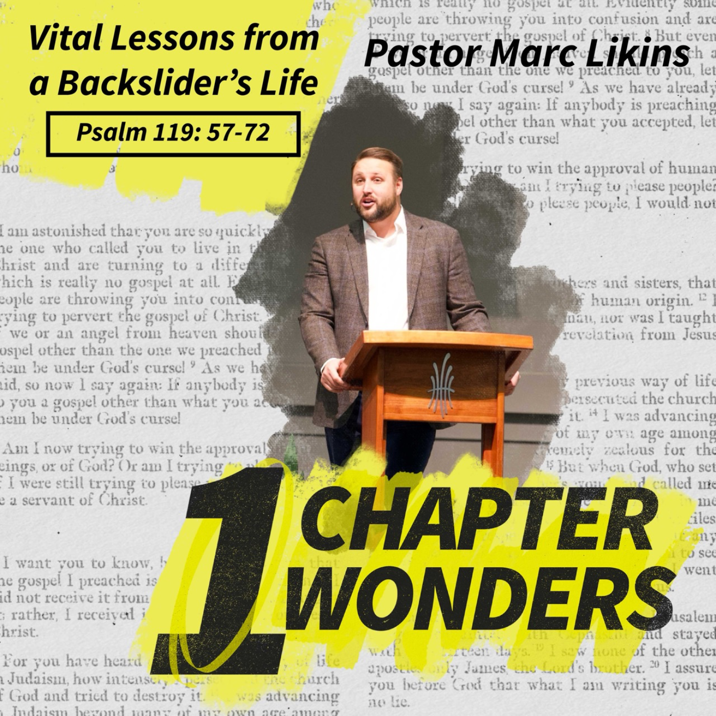 Vital Lessons from a Backslider's Life | No More Flying Blind | One Chapter Wonders episode artwork