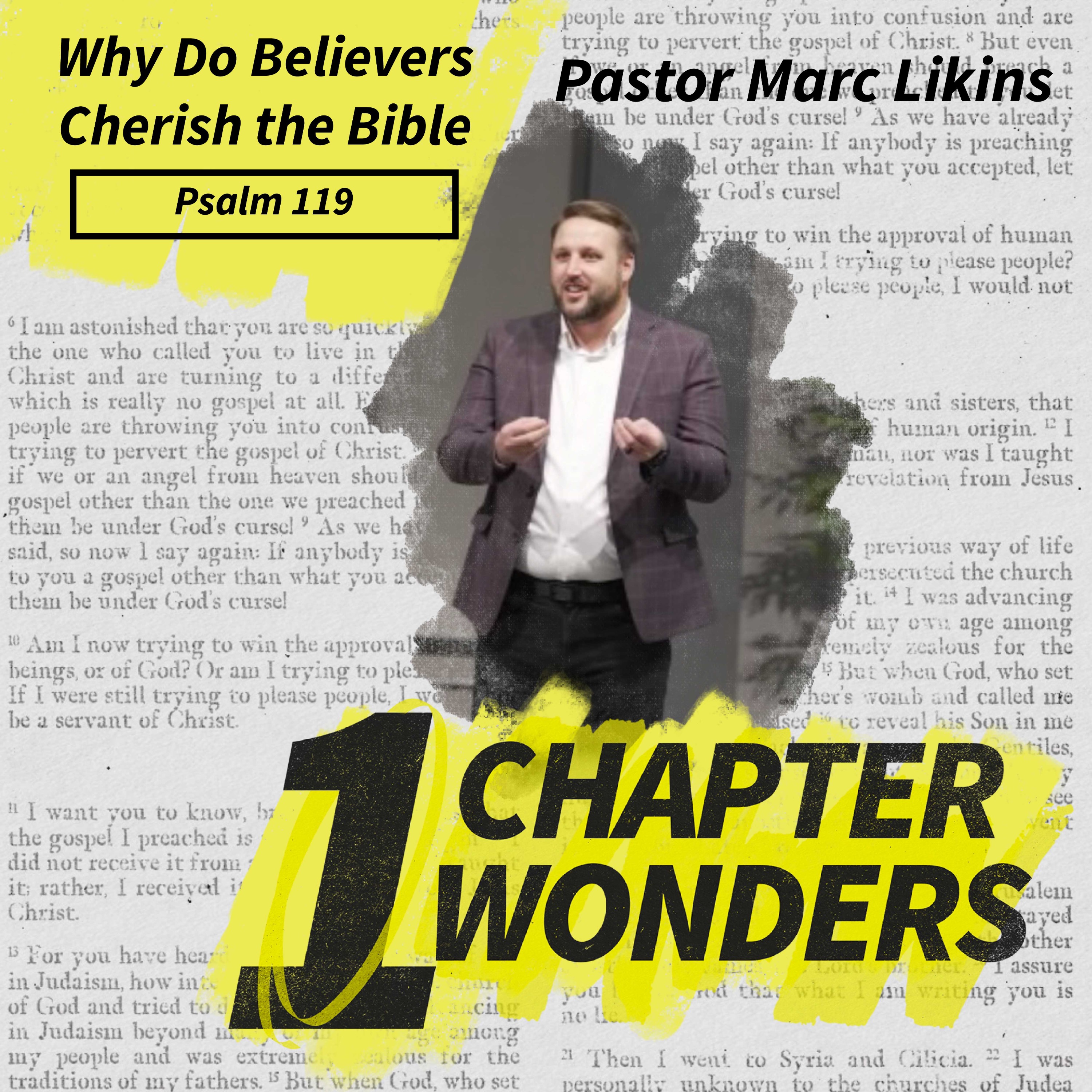 Why Do Believers Cherish the Bible | No More Flying Blind | One Chapter Wonders episode artwork