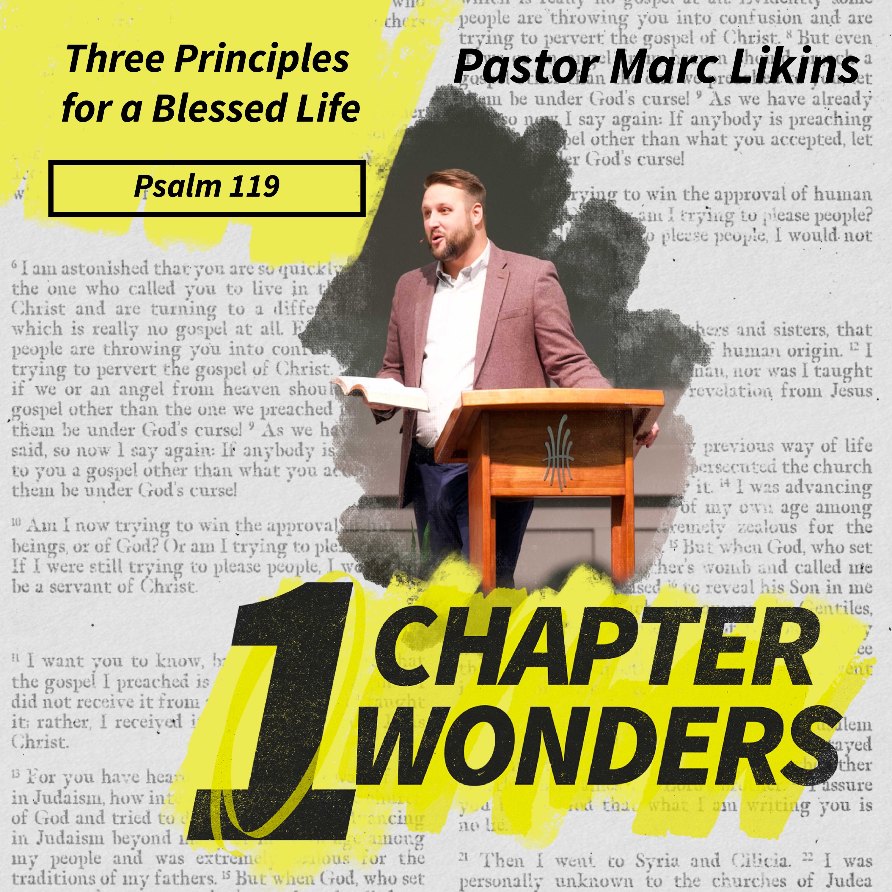 Three Principles for a Blessed Life | No More Flying Blind | One Chapter Wonders episode artwork