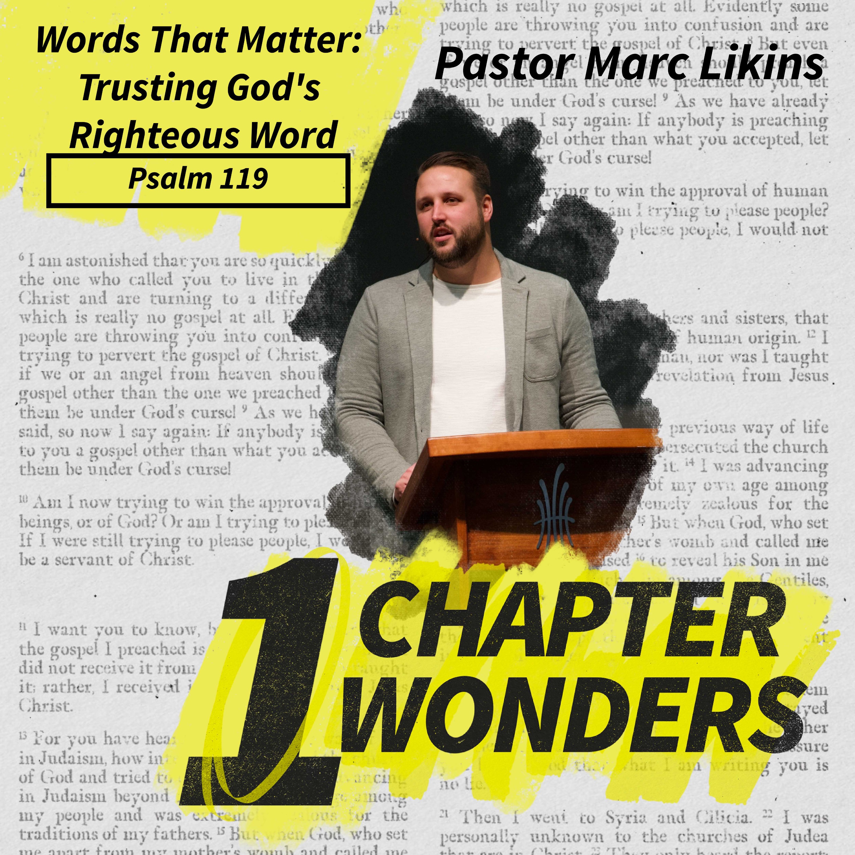 Words That Matter: Trusting God's Righteous Word | No More Flying Blind | One Chapter Wonders episode artwork