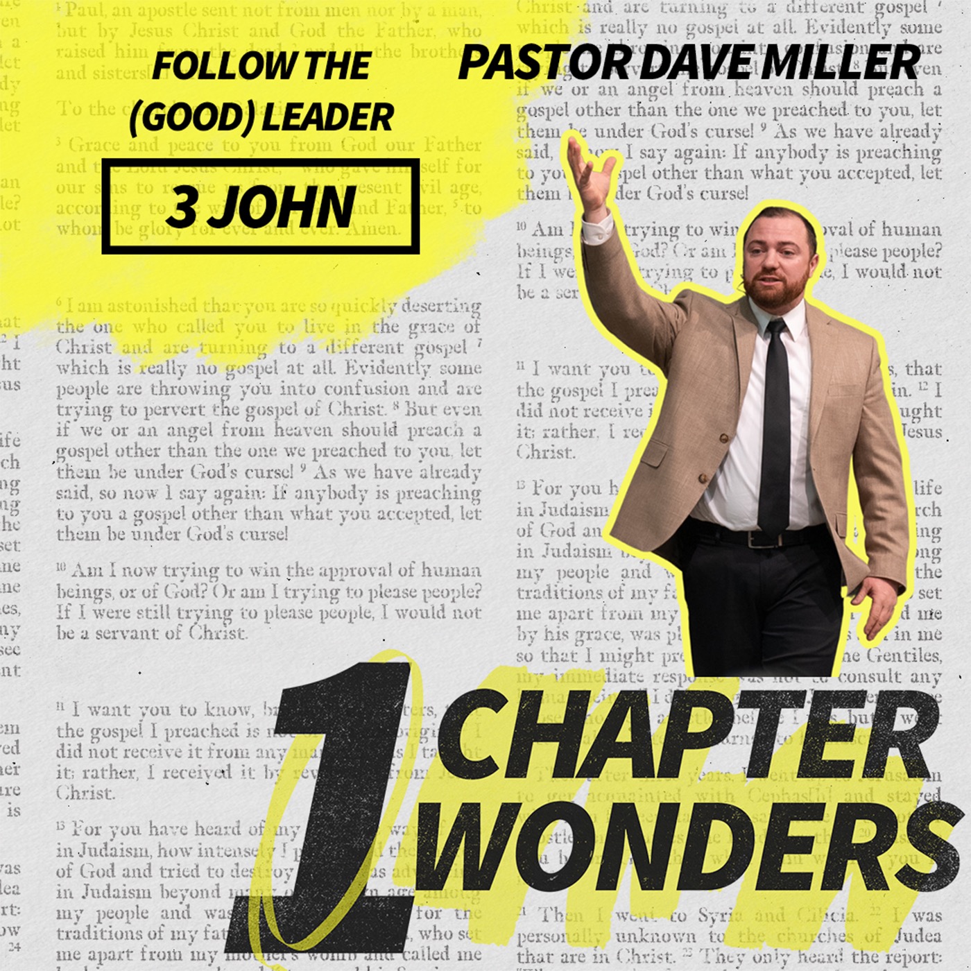 Follow the (Good) Leader | One Chapter Wonders episode artwork