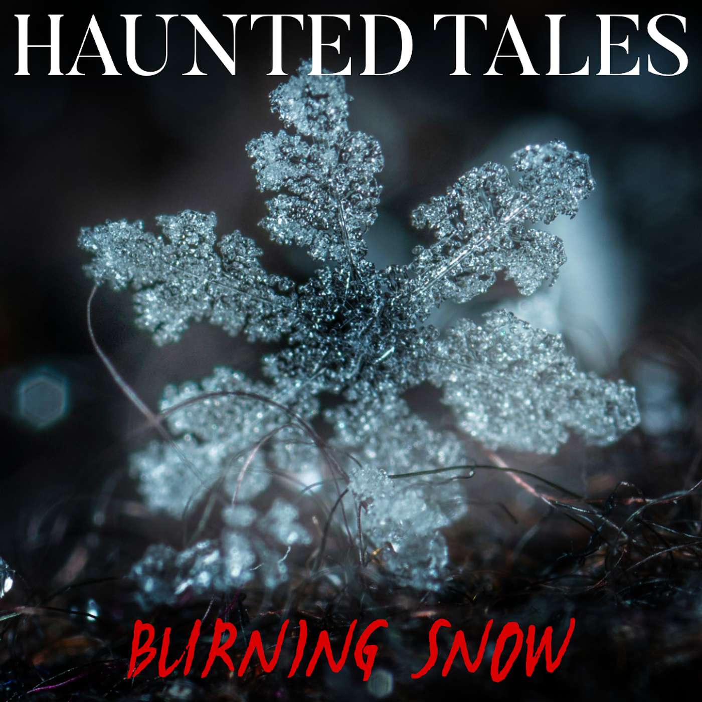 Burning Snow episode artwork