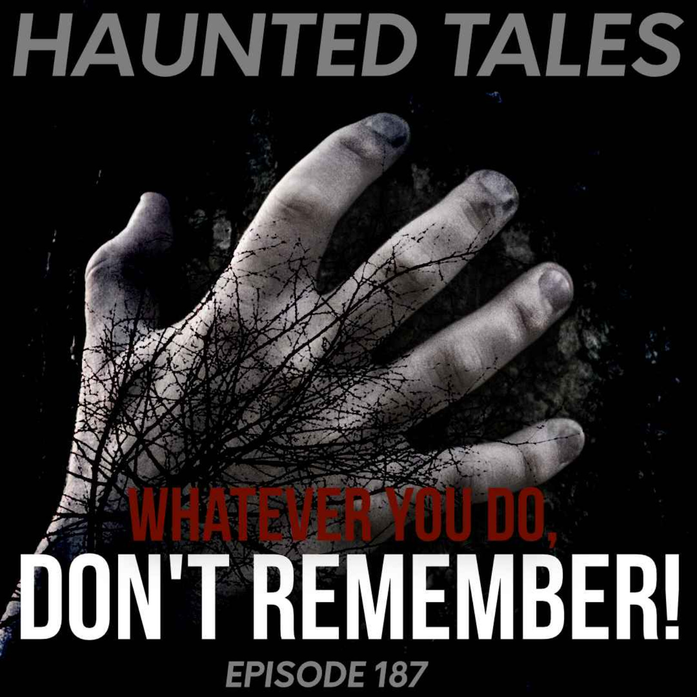 Don't Remember! episode artwork
