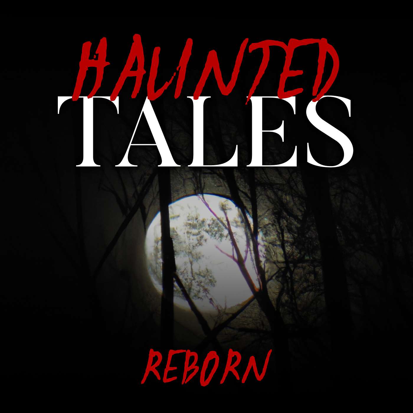 Reborn episode artwork