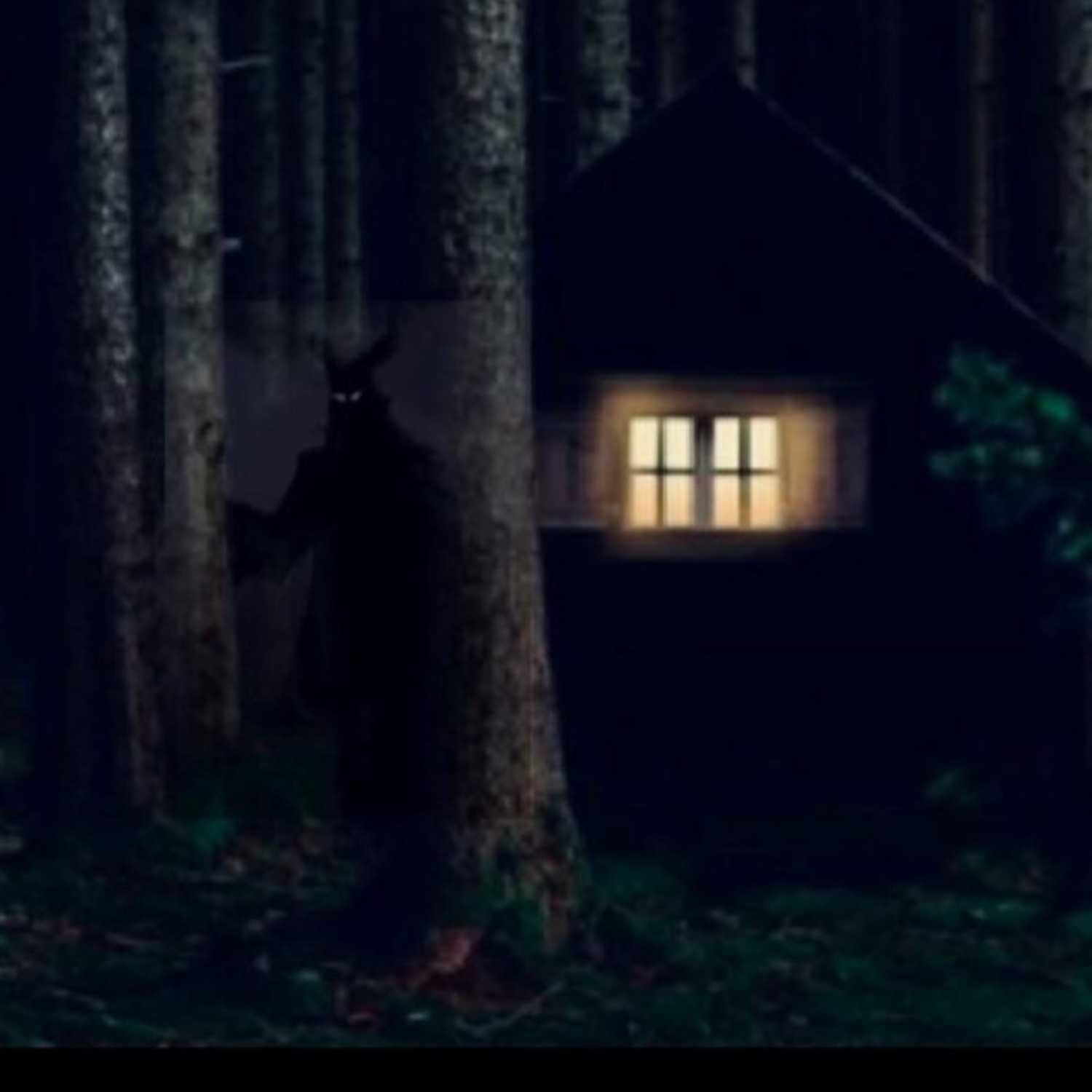 Cabin In The Woods
