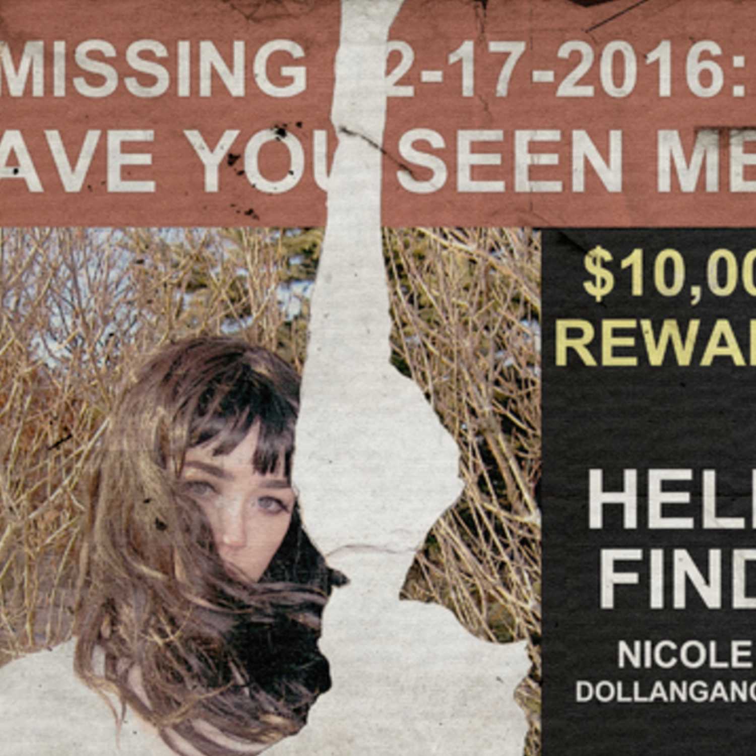 nicole dollanganger - have you seen me? episode artwork