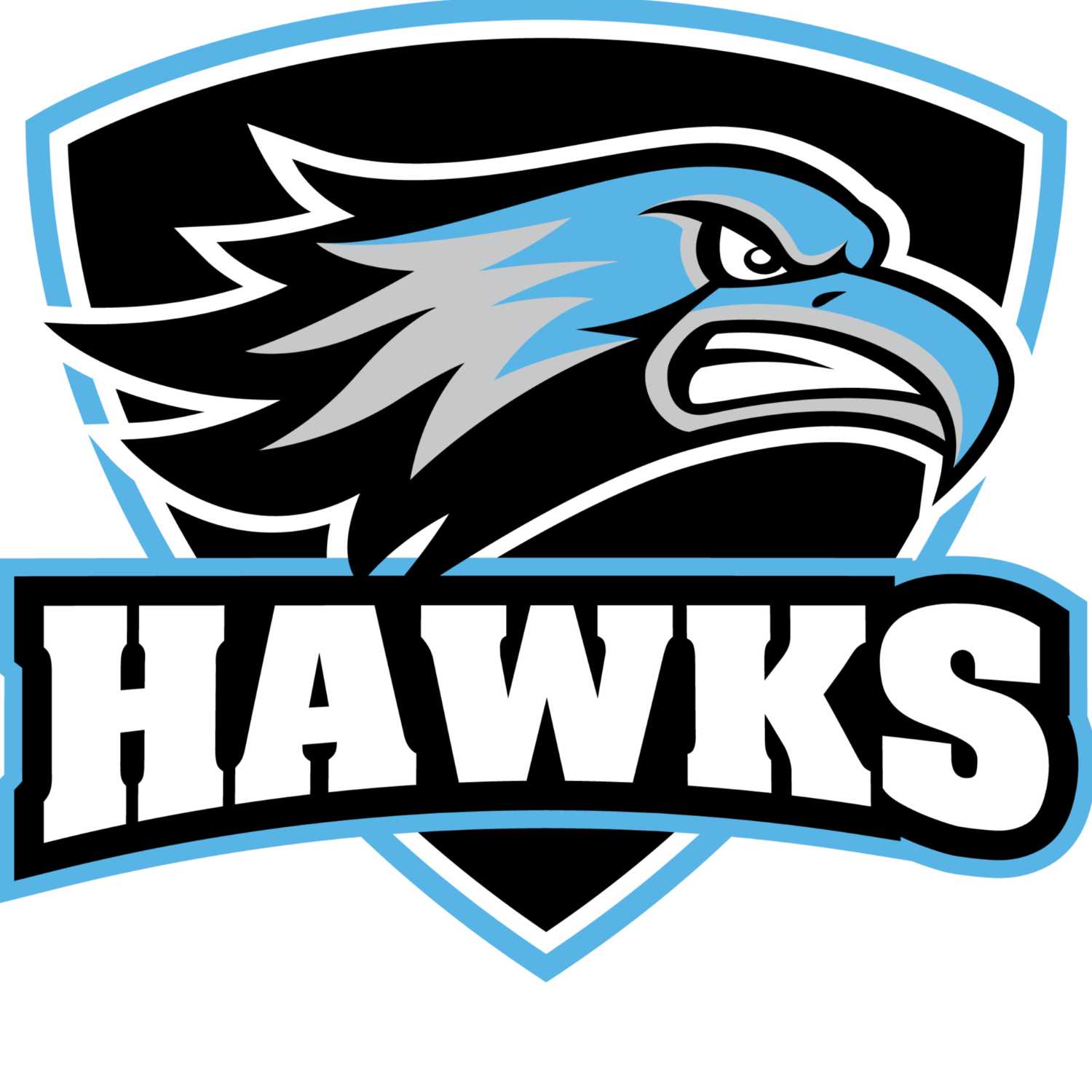 Hawkcast