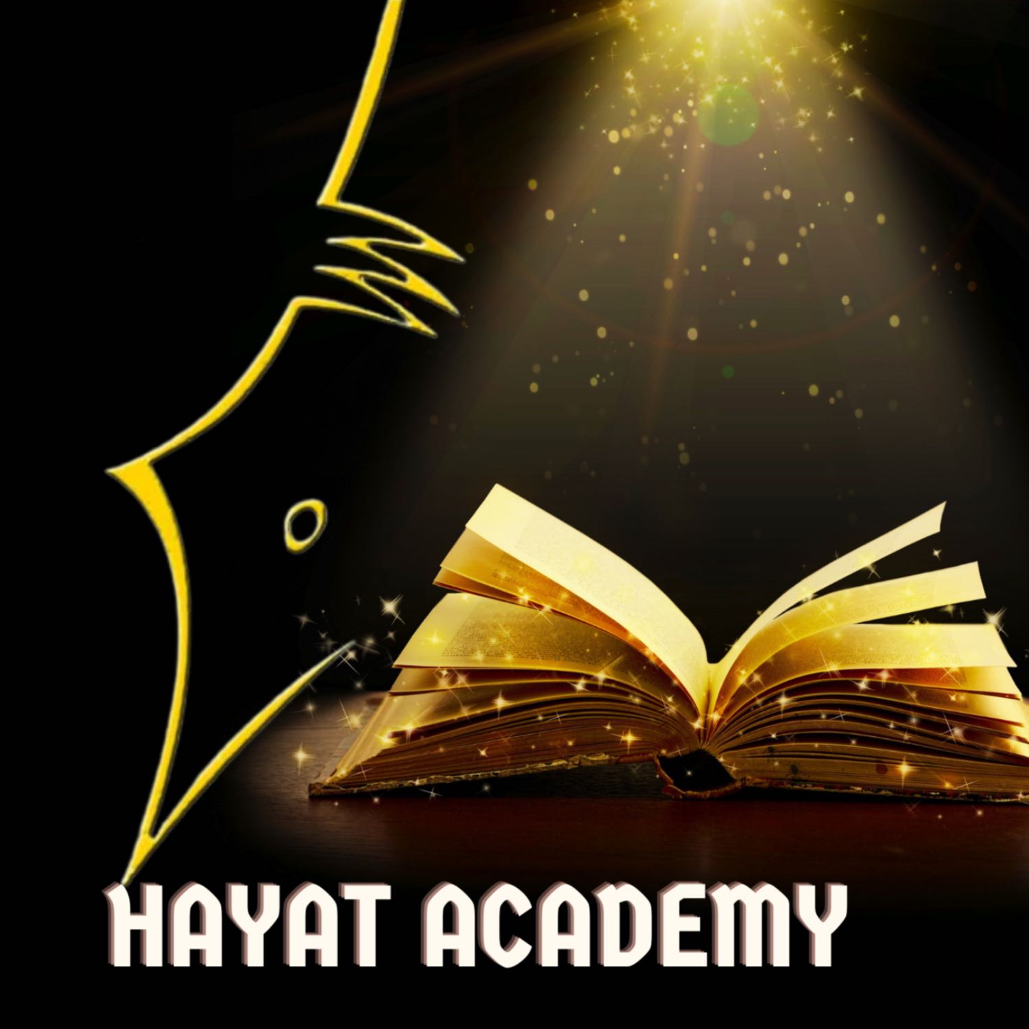 Hayat Academy