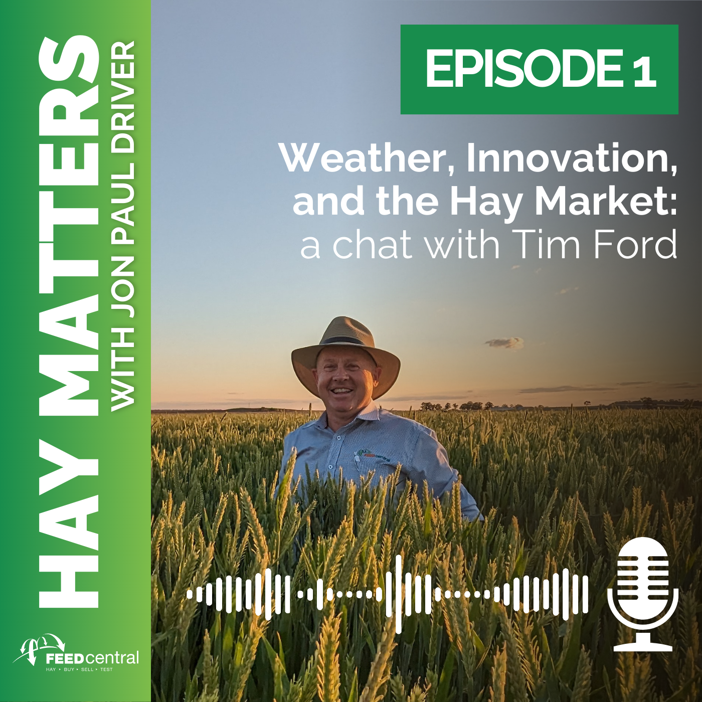 Weather, Innovation,  and the Hay Market:  a chat with Tim Ford