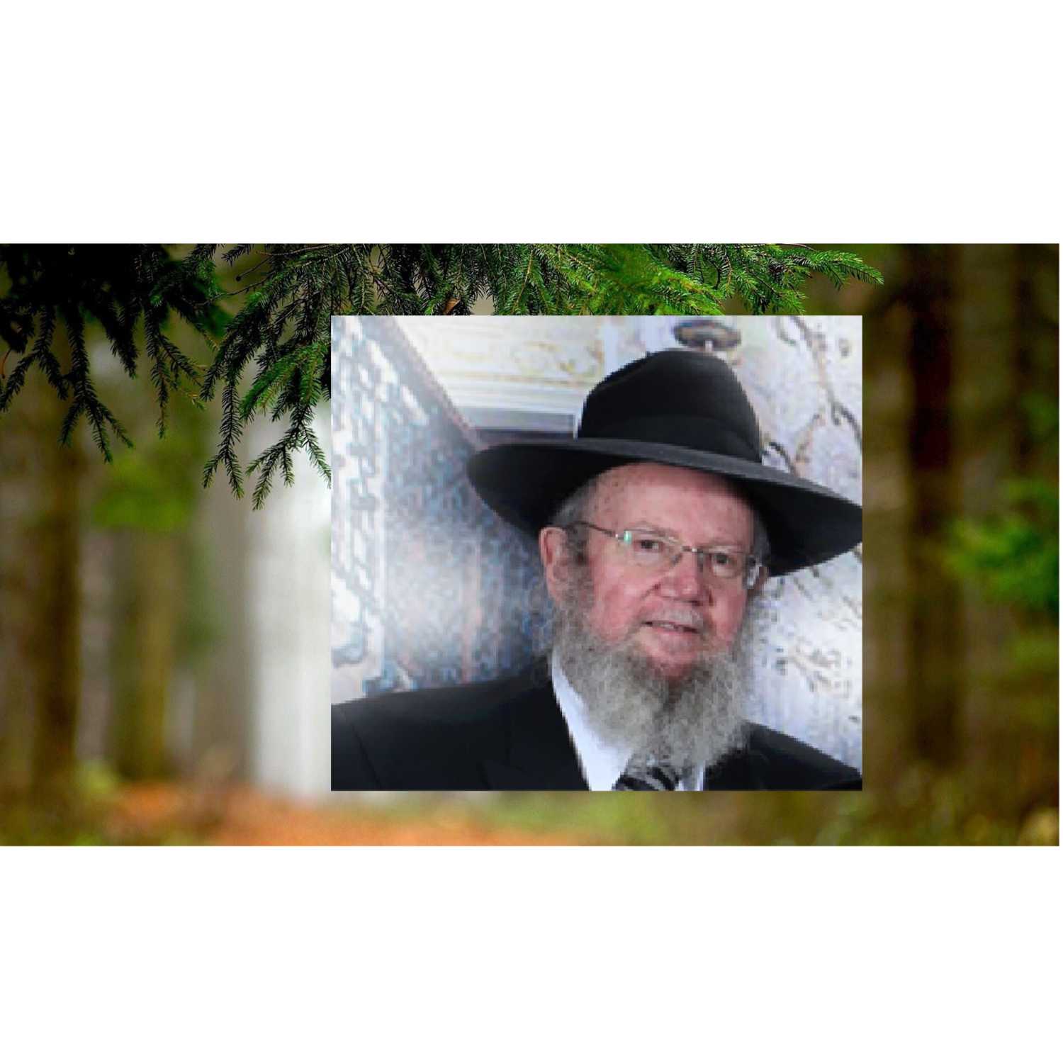 הזהרה מלאה artwork