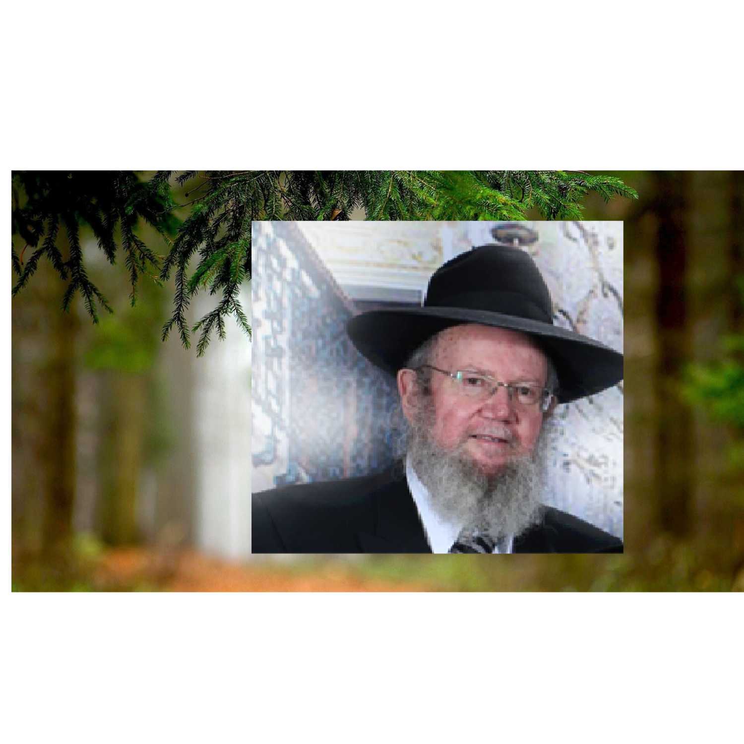 מסכת נדה episode artwork