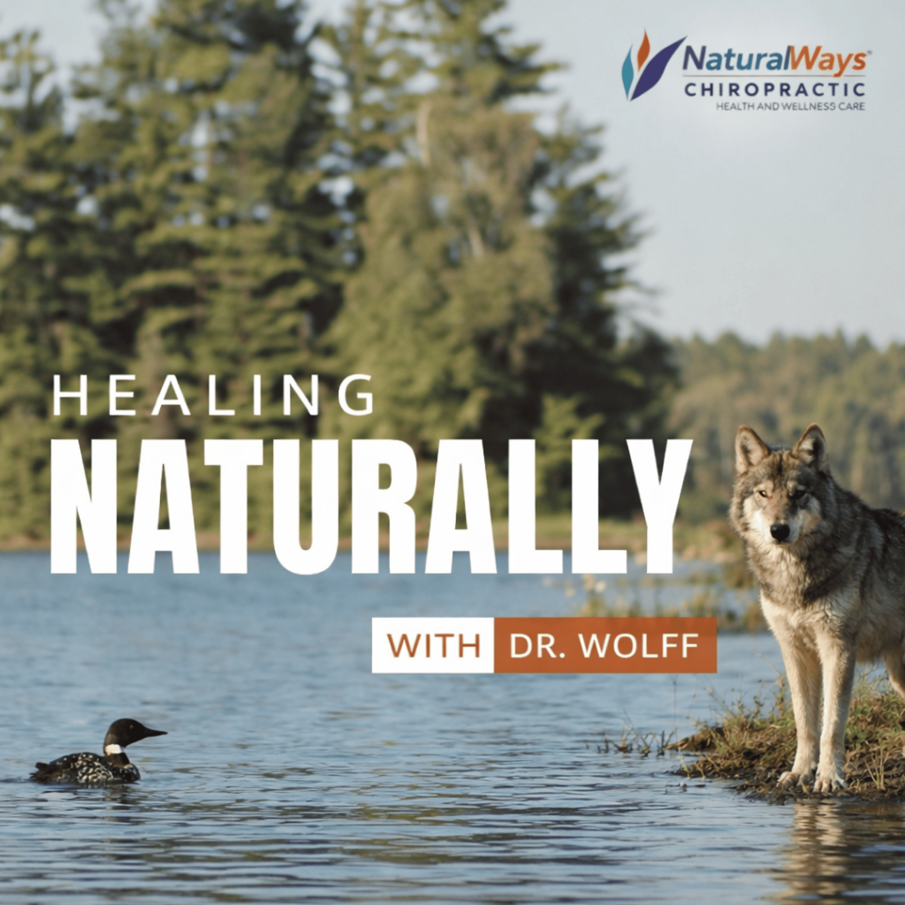 Healing Naturally with Dr. Wolff podcast artwork