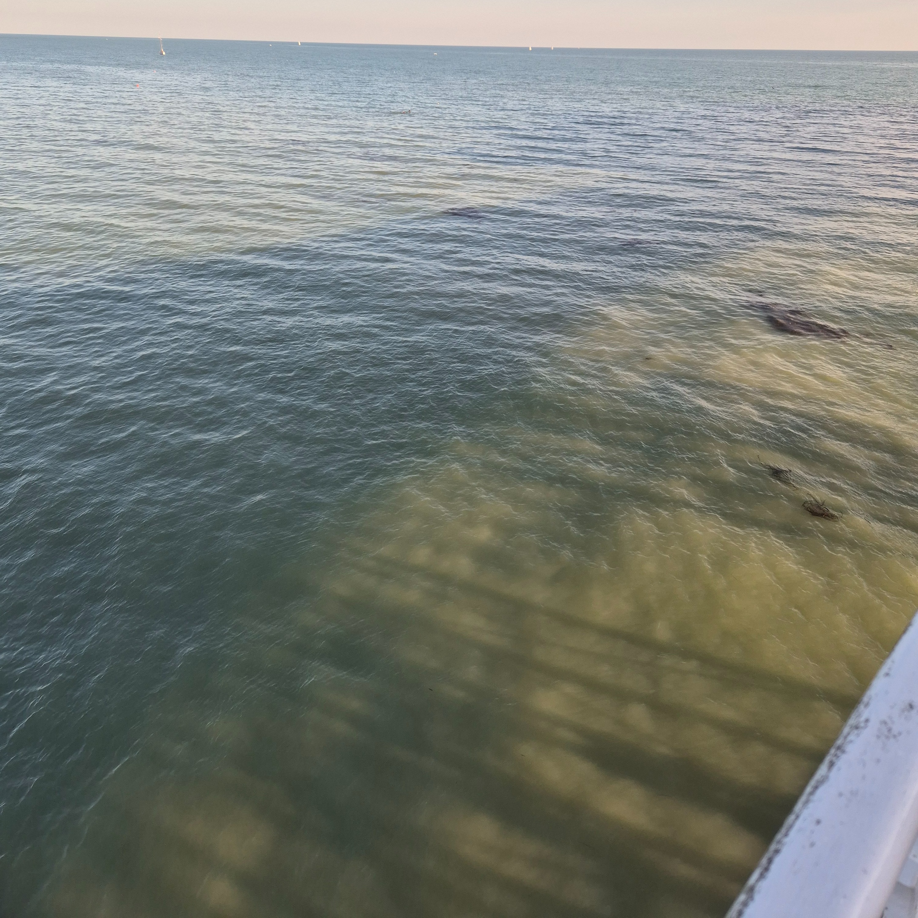 Healing Poetry: A Ministry of Words