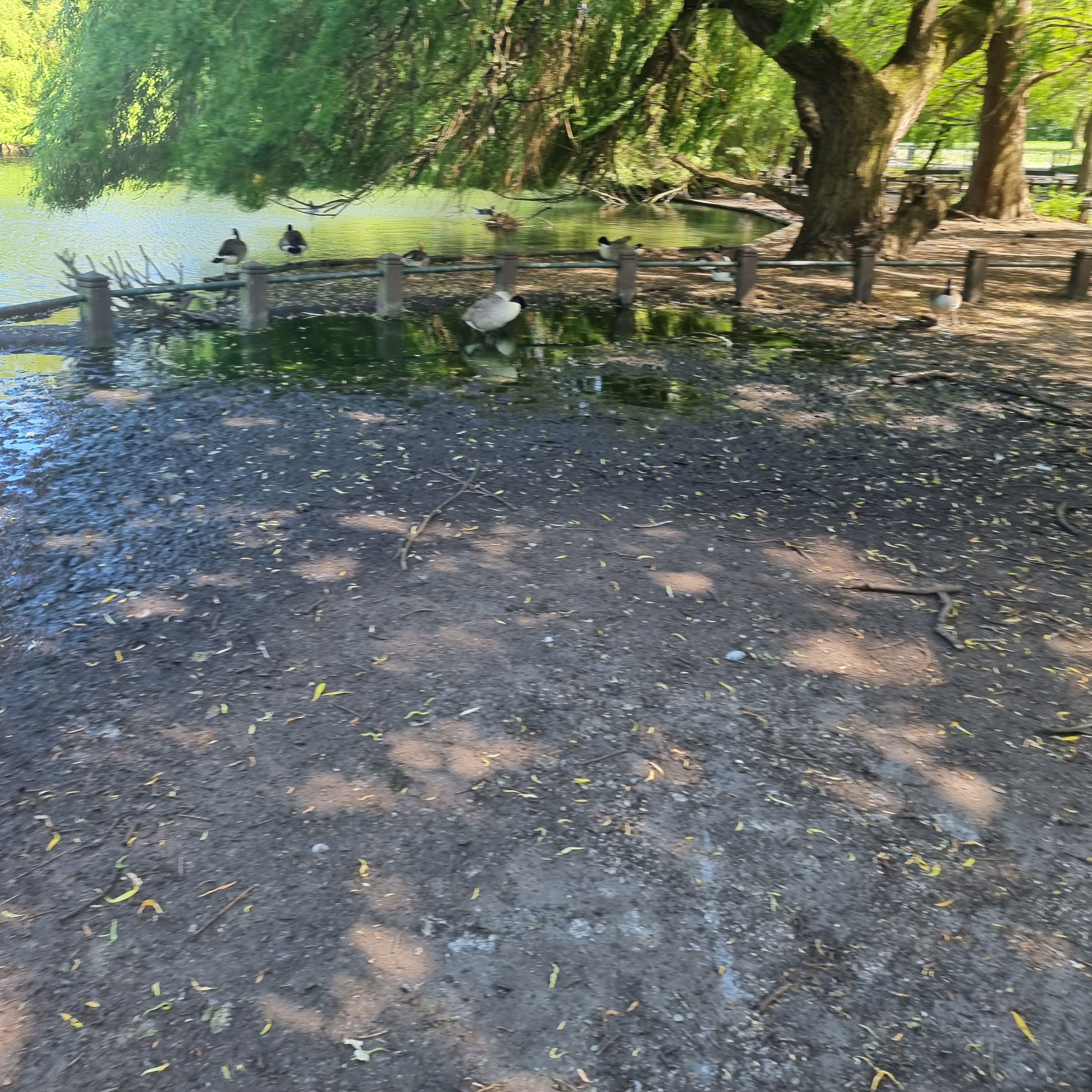 Healing Poetry: A Ministry of Words