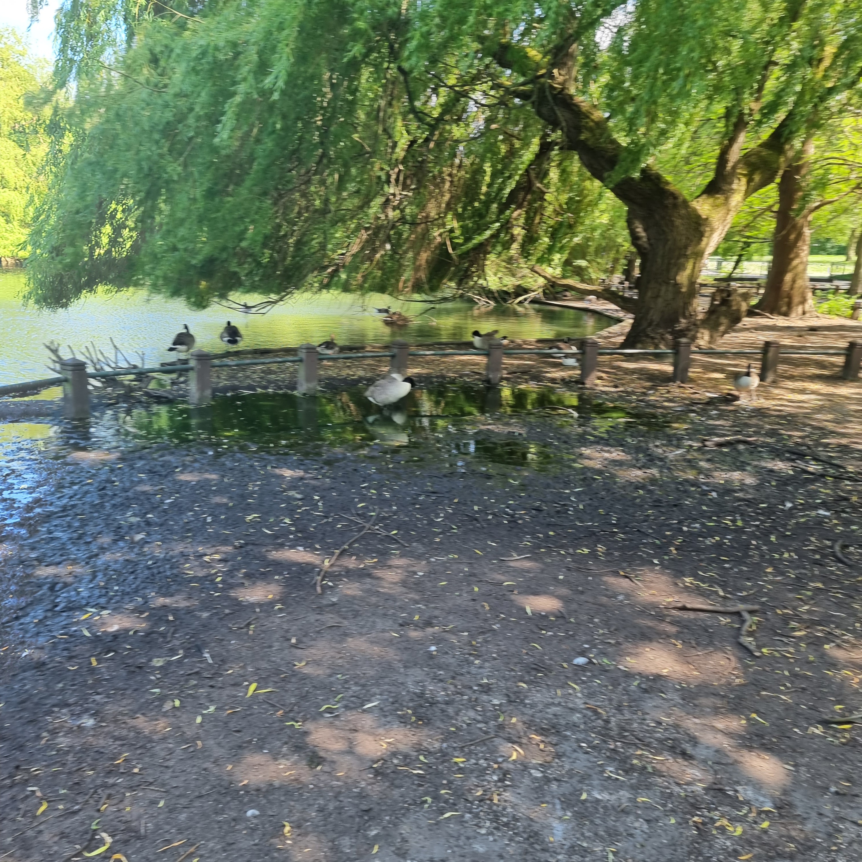 Healing Poetry: A Ministry of Words