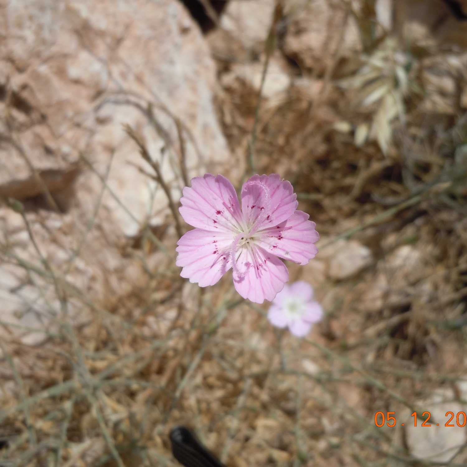 The Magic in the Now