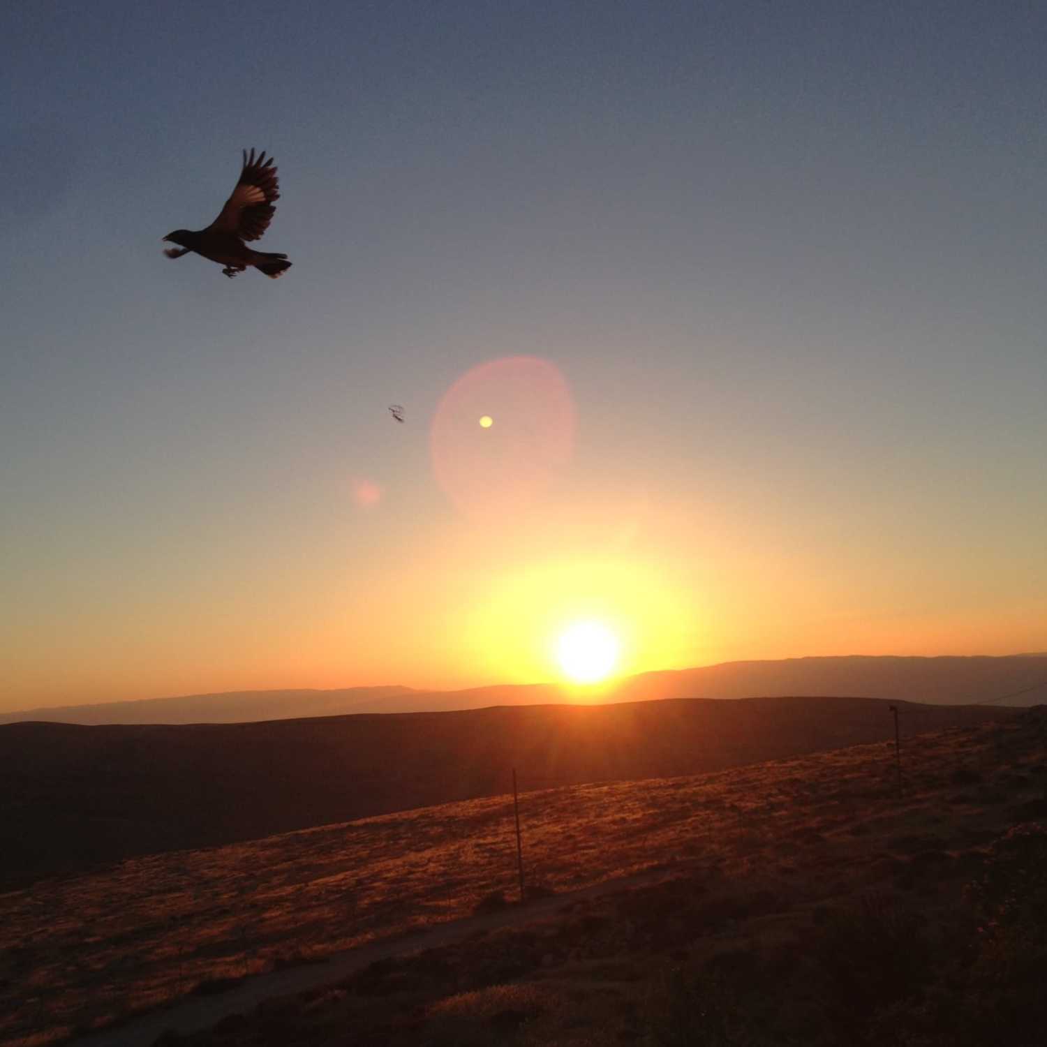 Symptoms of Living Disempowered