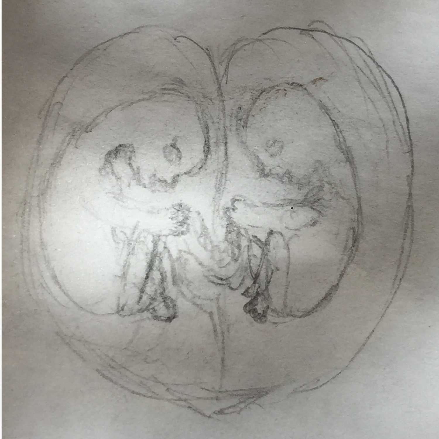 Ep 13: More on 'Lost' Twins...A Raw Share