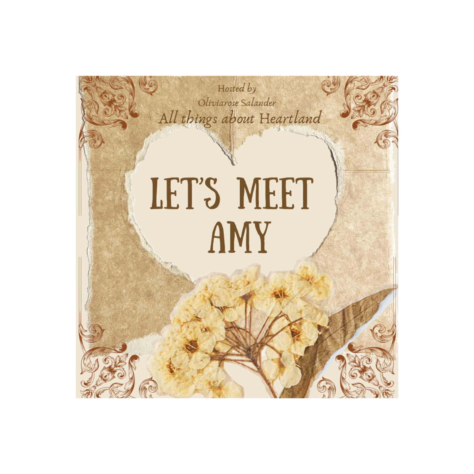 Let's Meet Amy episode artwork