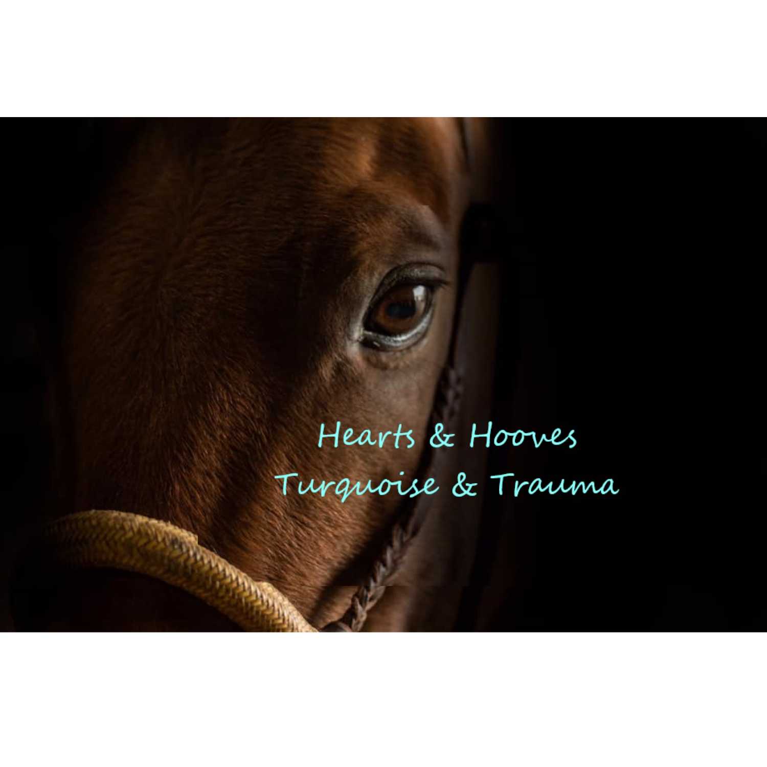 Hearts & Hooves Turquoise & Trauma 