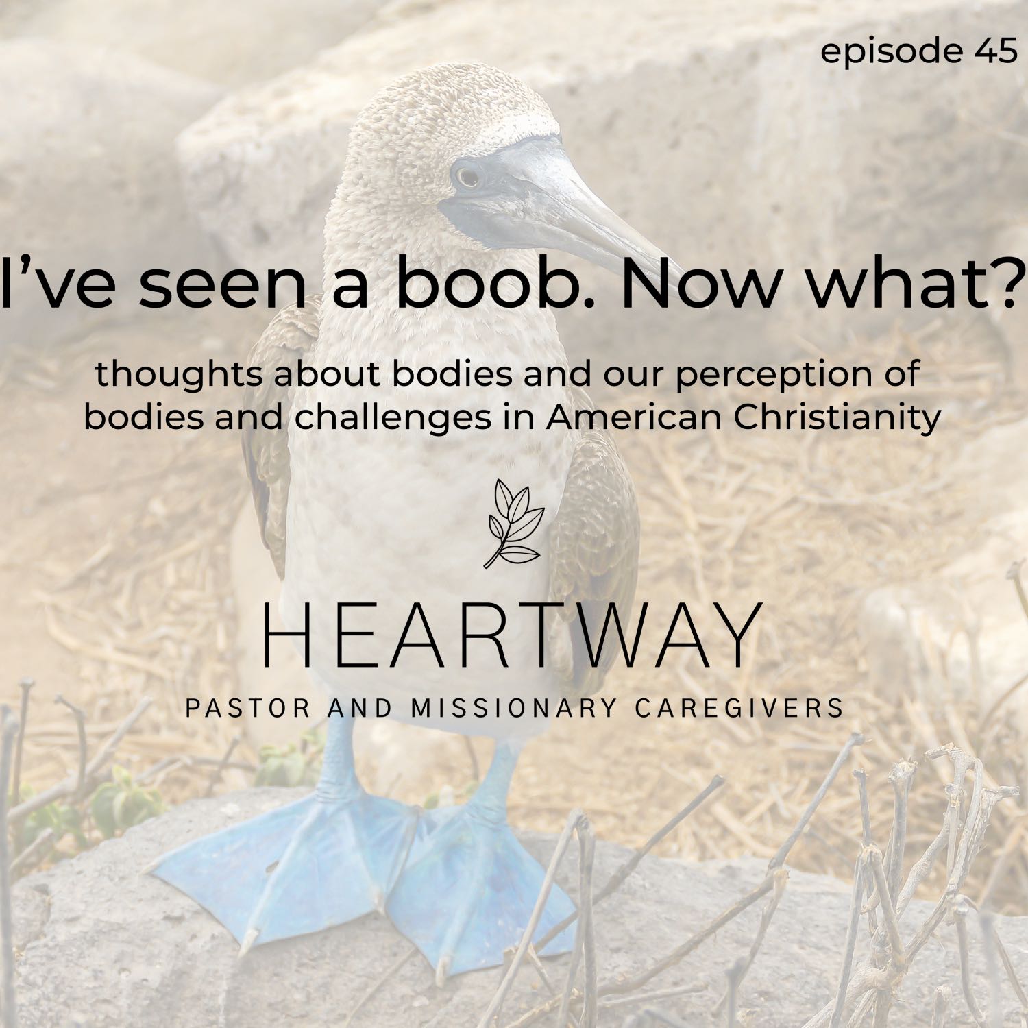 HeartWay: Pastor and Missionary Caregivers Podcast