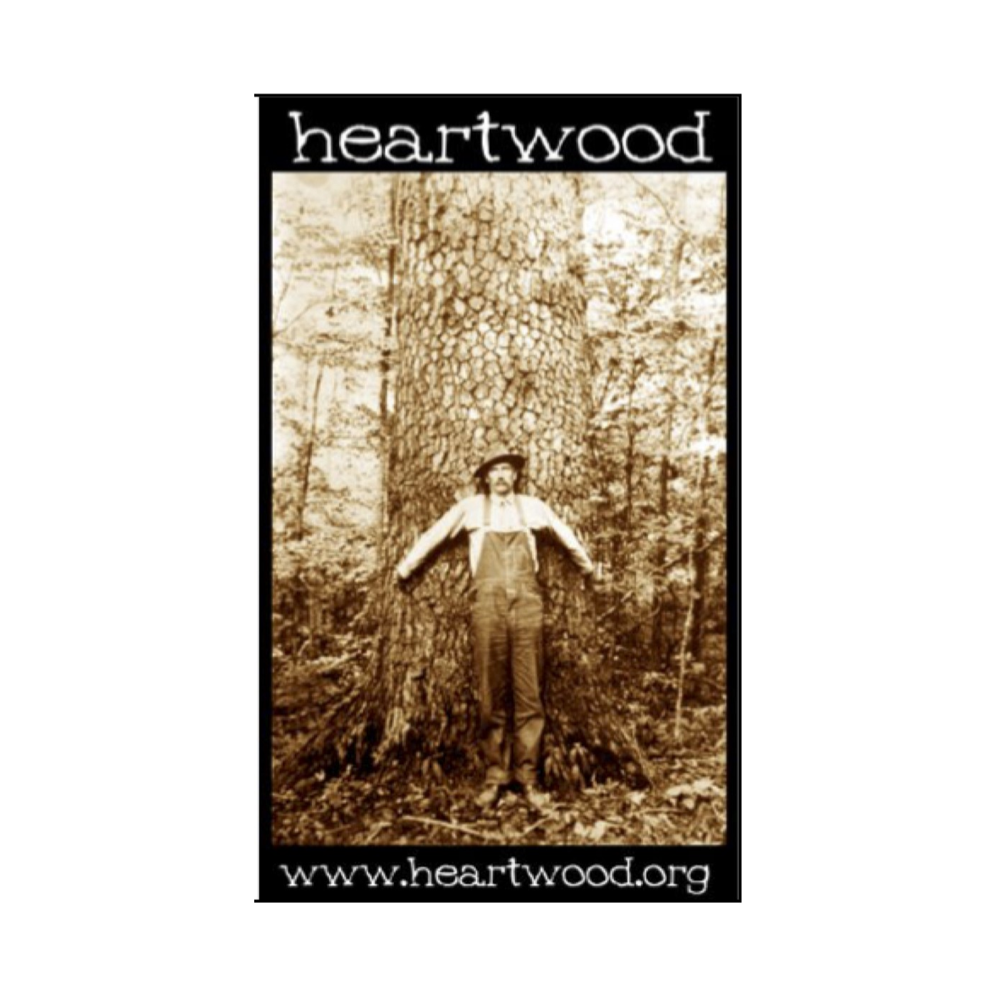 Heartwood Forest Protection Podcast