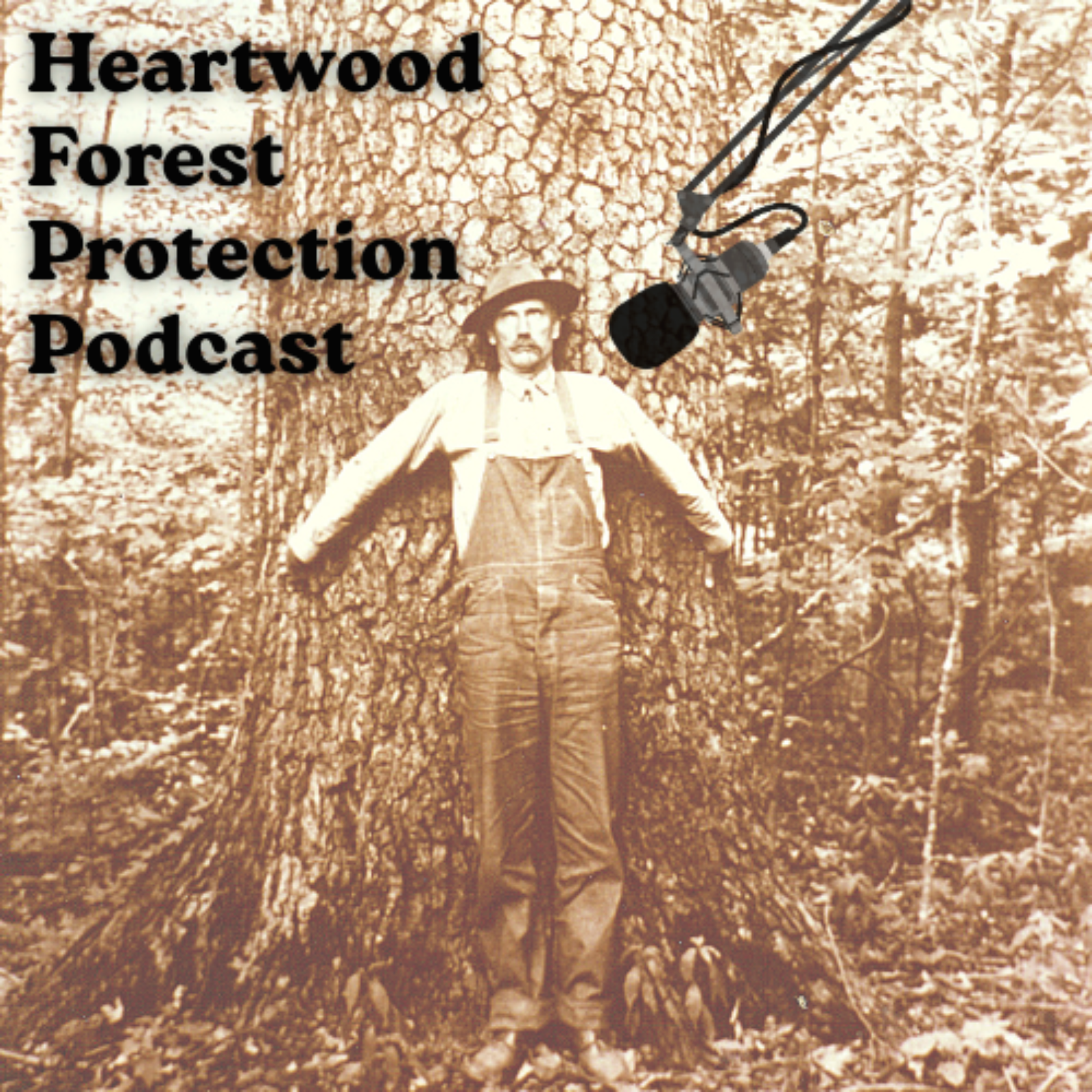 Heartwood Forest Protection Podcast podcast artwork