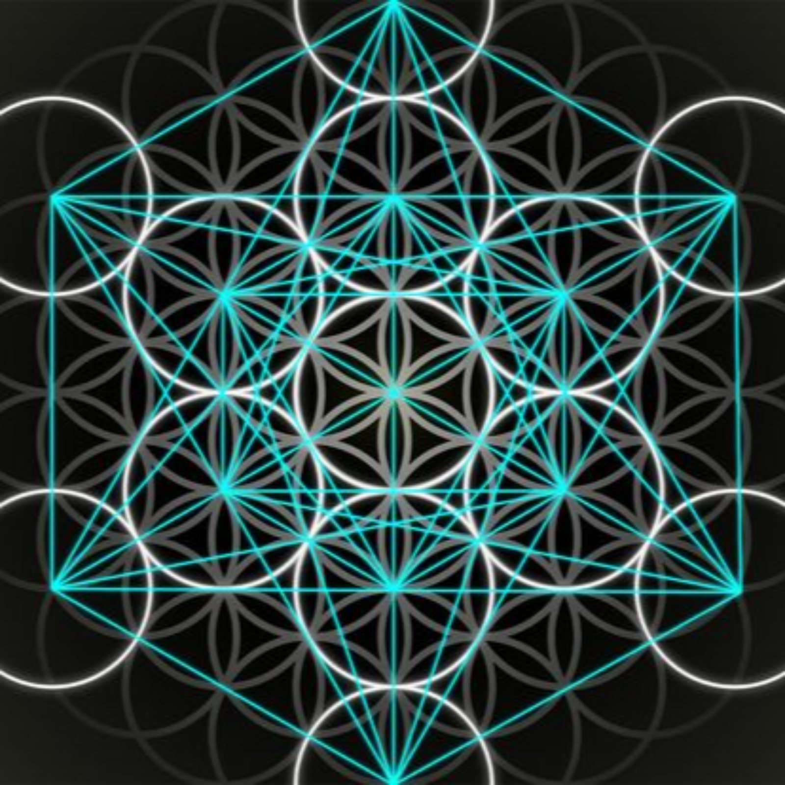 Quantum consciousness -Love i cu SQUARED episode artwork