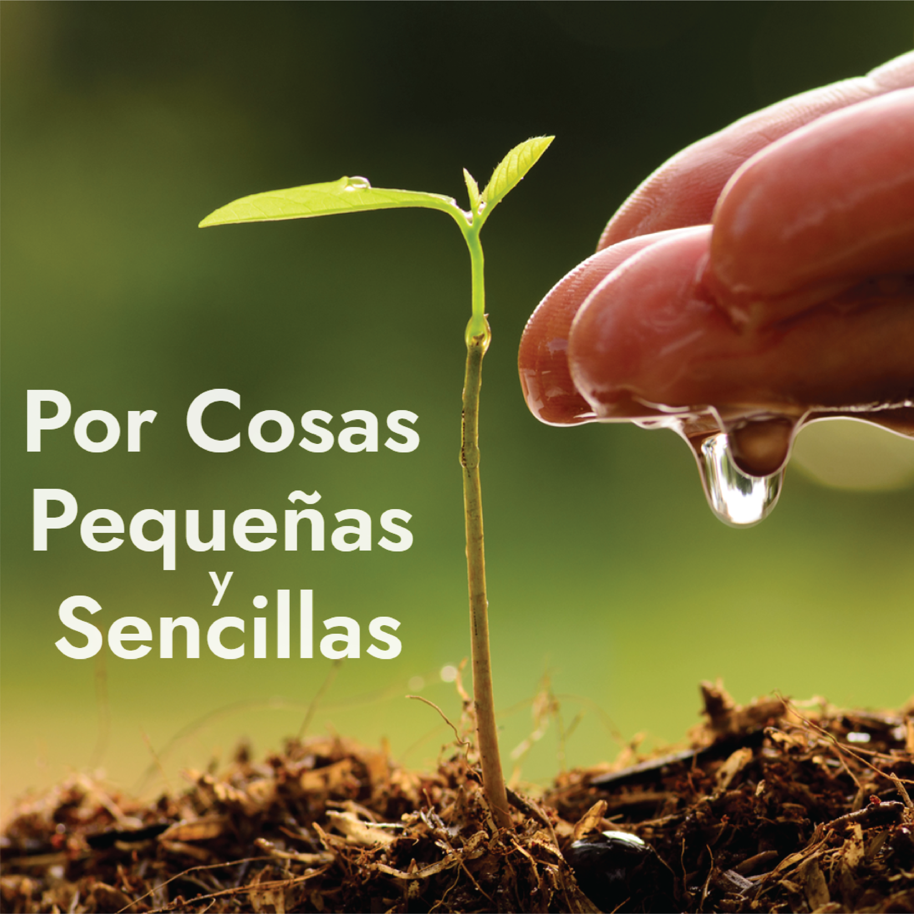 Rehabilitación y Resiliencia para la Familia y el Individuo