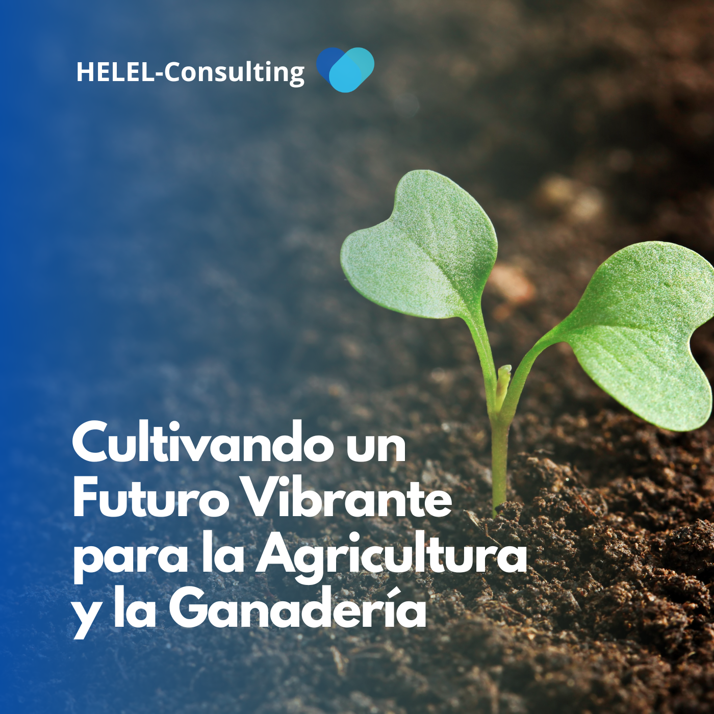 Podcast de HELEL-Consulting.com | Hostelería, Negocios y Estrategia