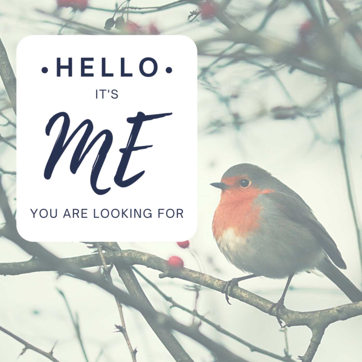 Hello it is ME you are looking for