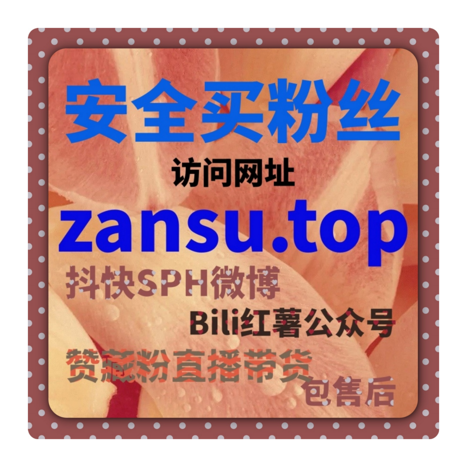 小红书刷粉丝工具 - 如何通过代刷网迅速提高账号曝光度与粉丝数 episode artwork