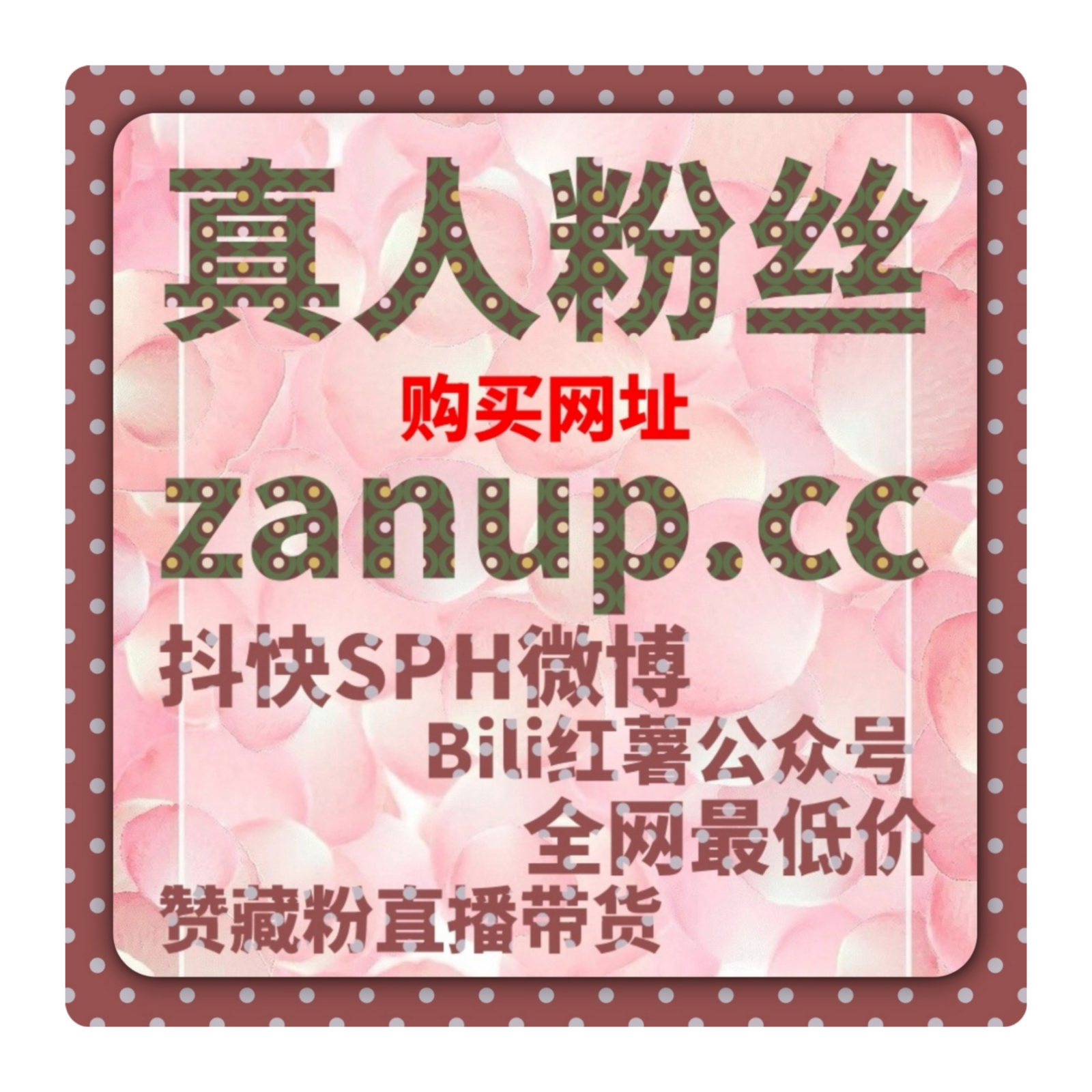 小红书信息流广告投放-如何精准吸引潜在客户，提高广告效果和转化率 episode artwork