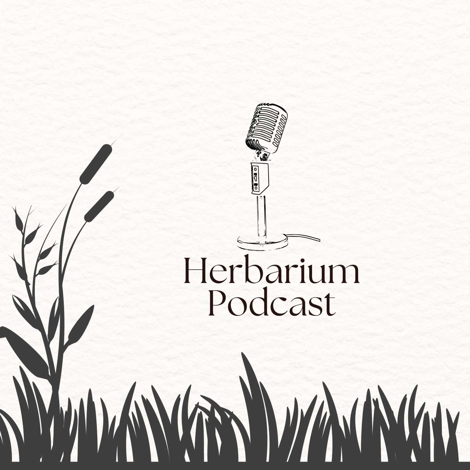 Herbarium Podcast #3 - Pëshpëritësit e Pyjeve episode artwork