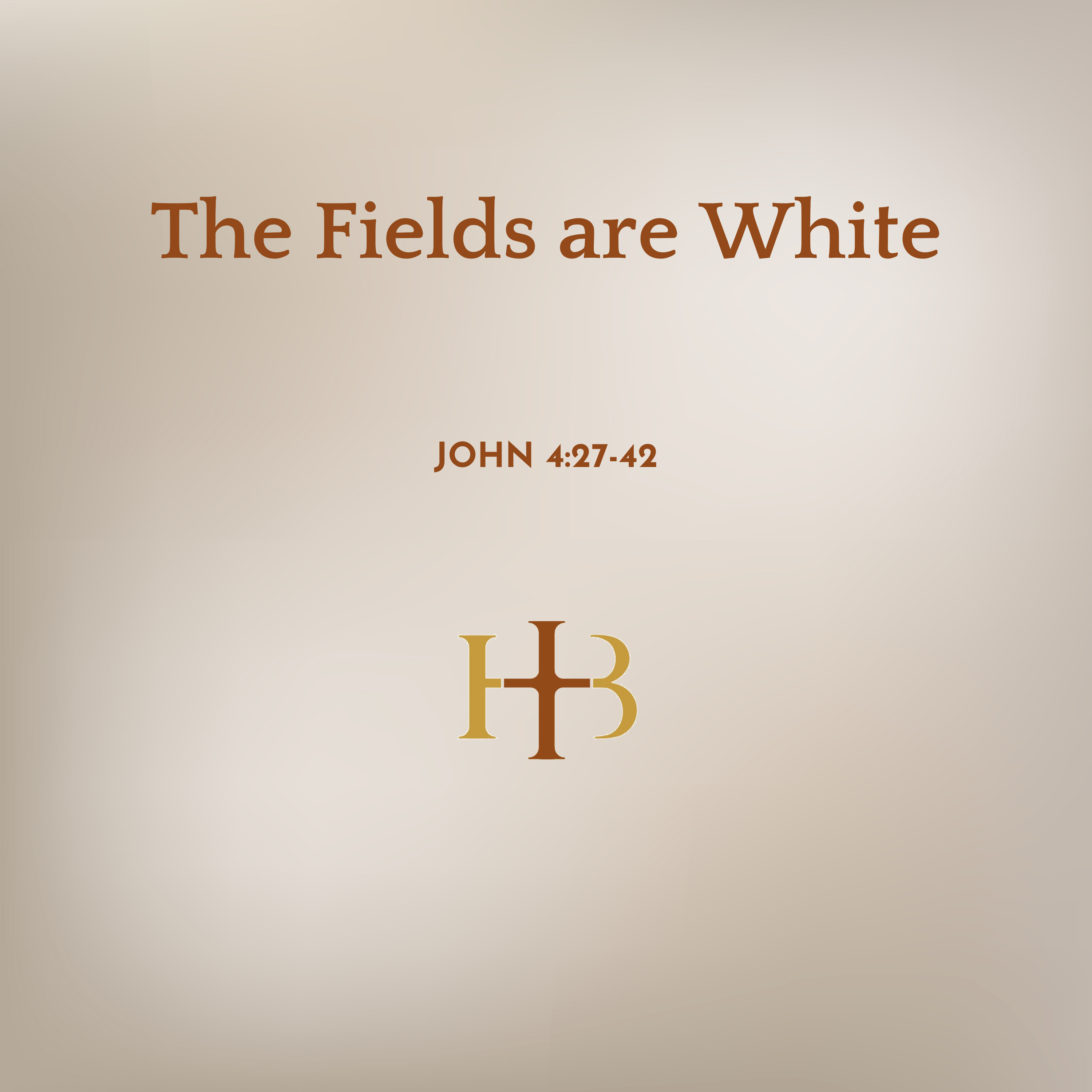 The Fields are White | John 4:27-42 episode artwork