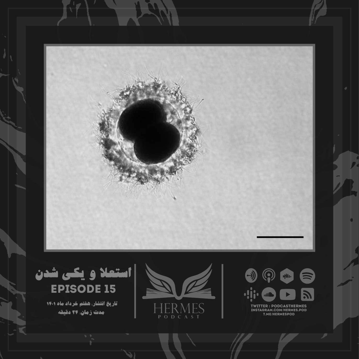 Episode 15 - استعلا و يكي شدن
