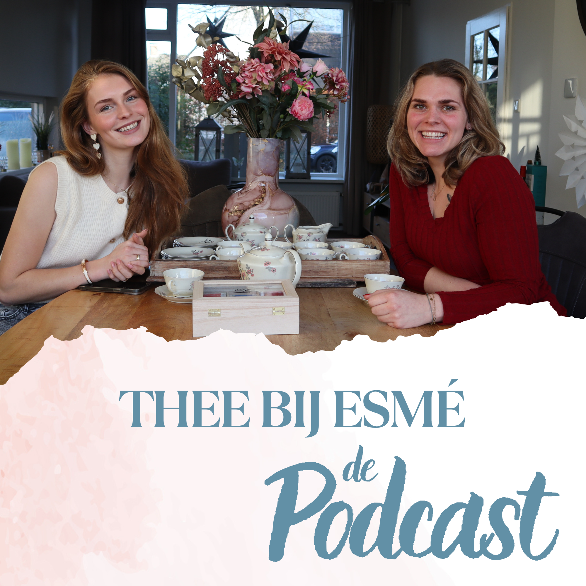 Op 16 jarige leeftijd je VADER verliezen, MENINGEN van andere & TIPS voor ROUW - Thee bij Esmé episode artwork